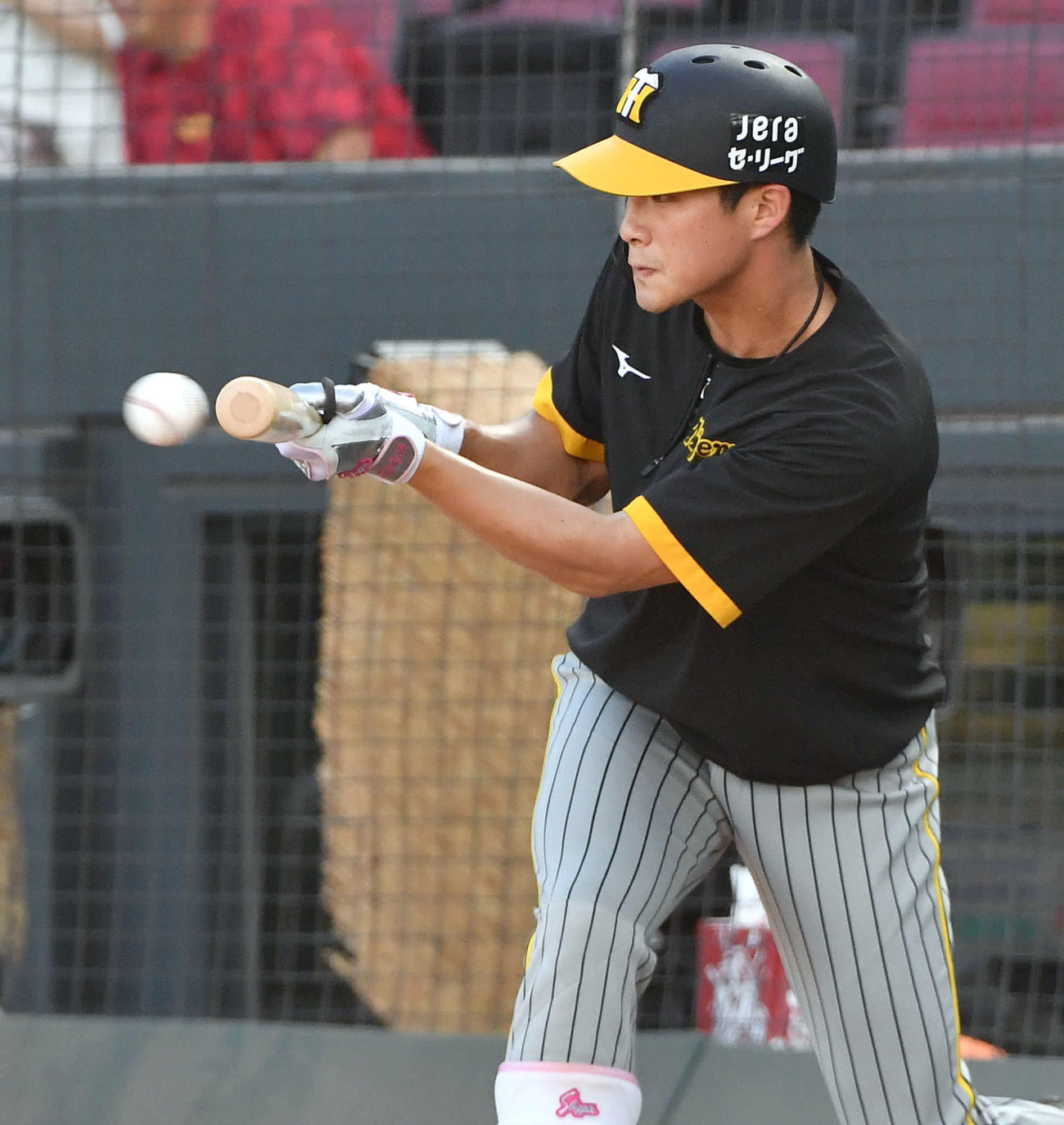 広島対阪神　バント練習を行う木浪（撮影・岩下翔太）