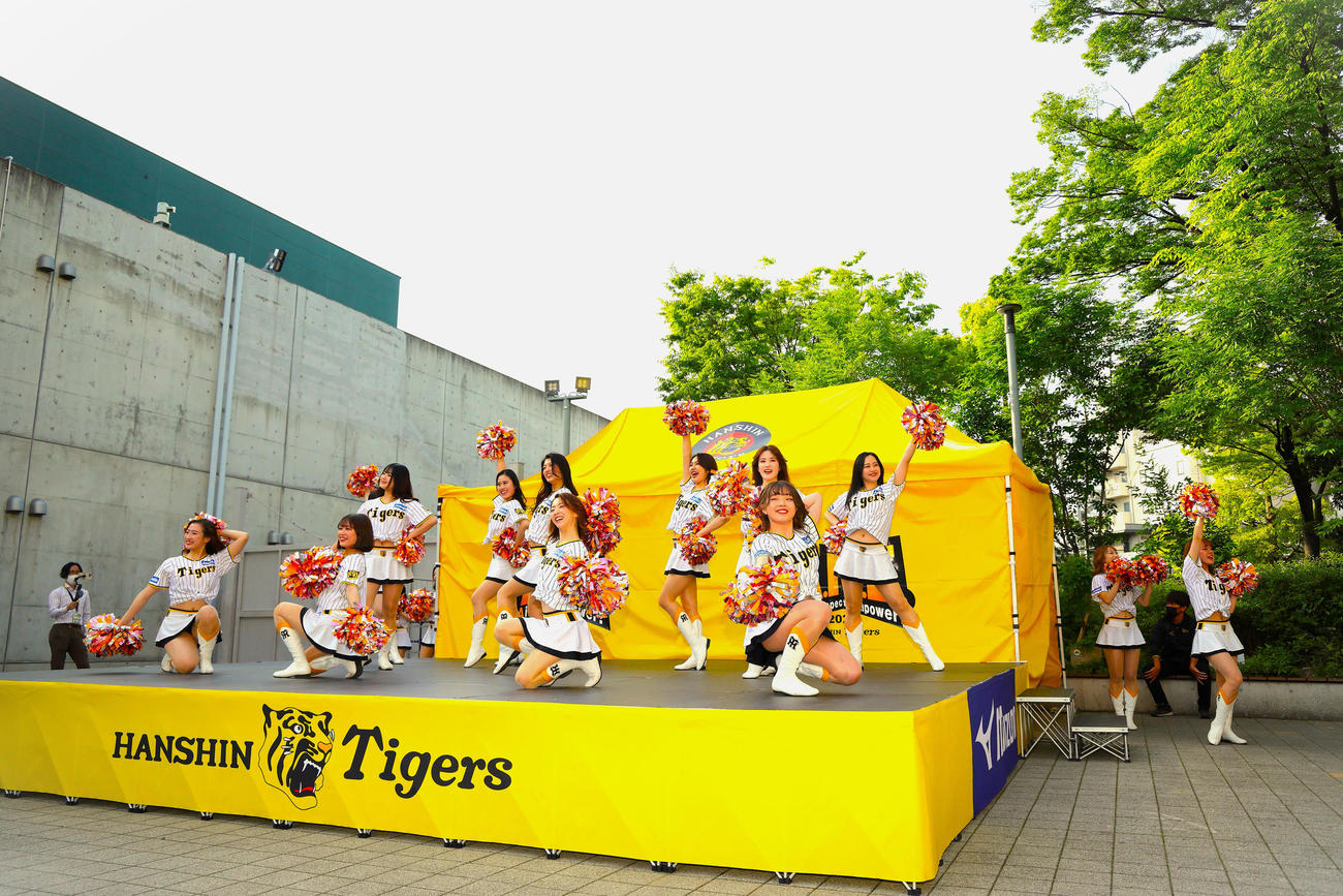 阪神甲子園球場での外周イベント第11弾「甲子園　ビアフェスタ（第2弾）」を開催（阪神電鉄提供）