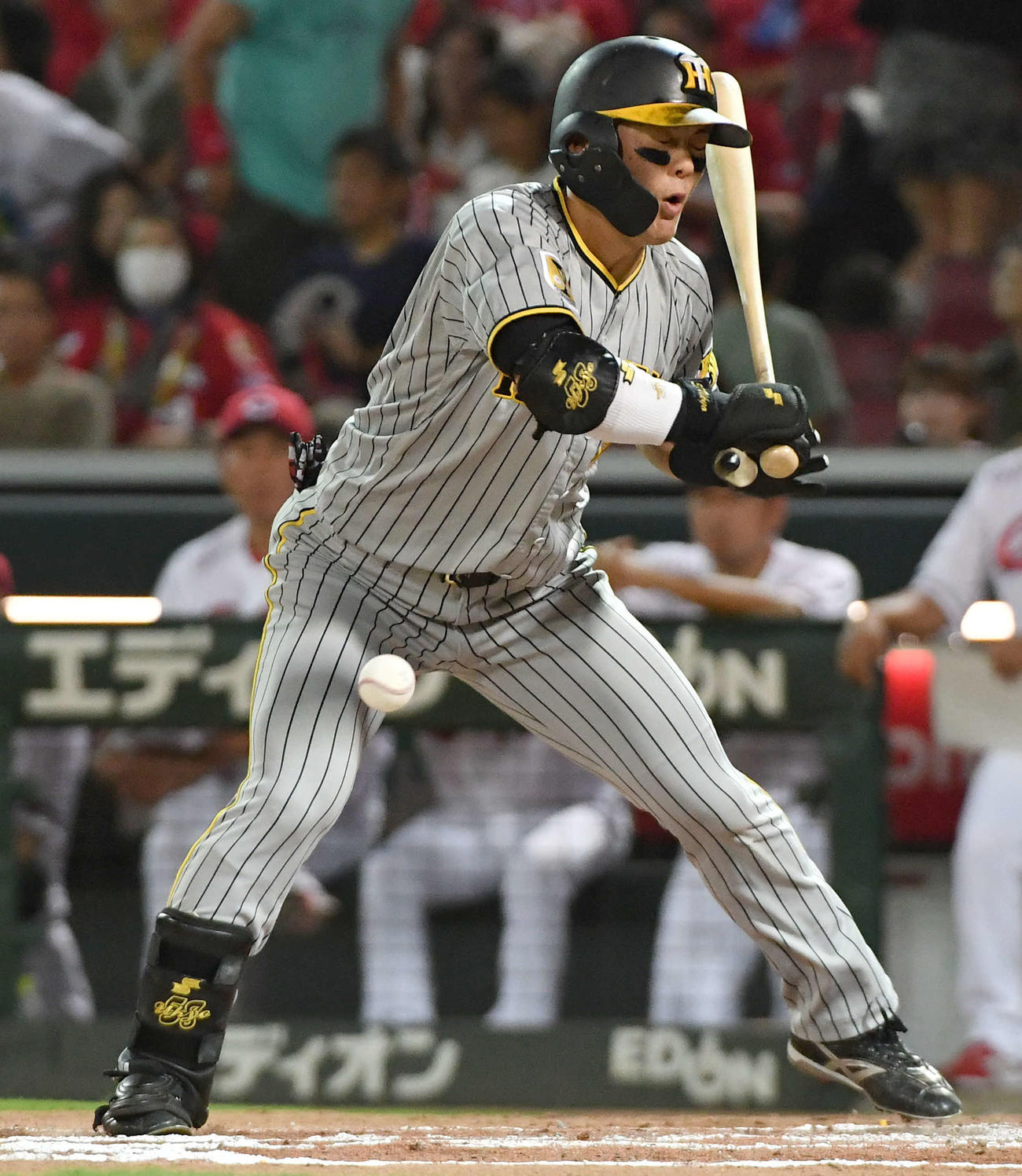 24日、右足に死球を受ける前川
