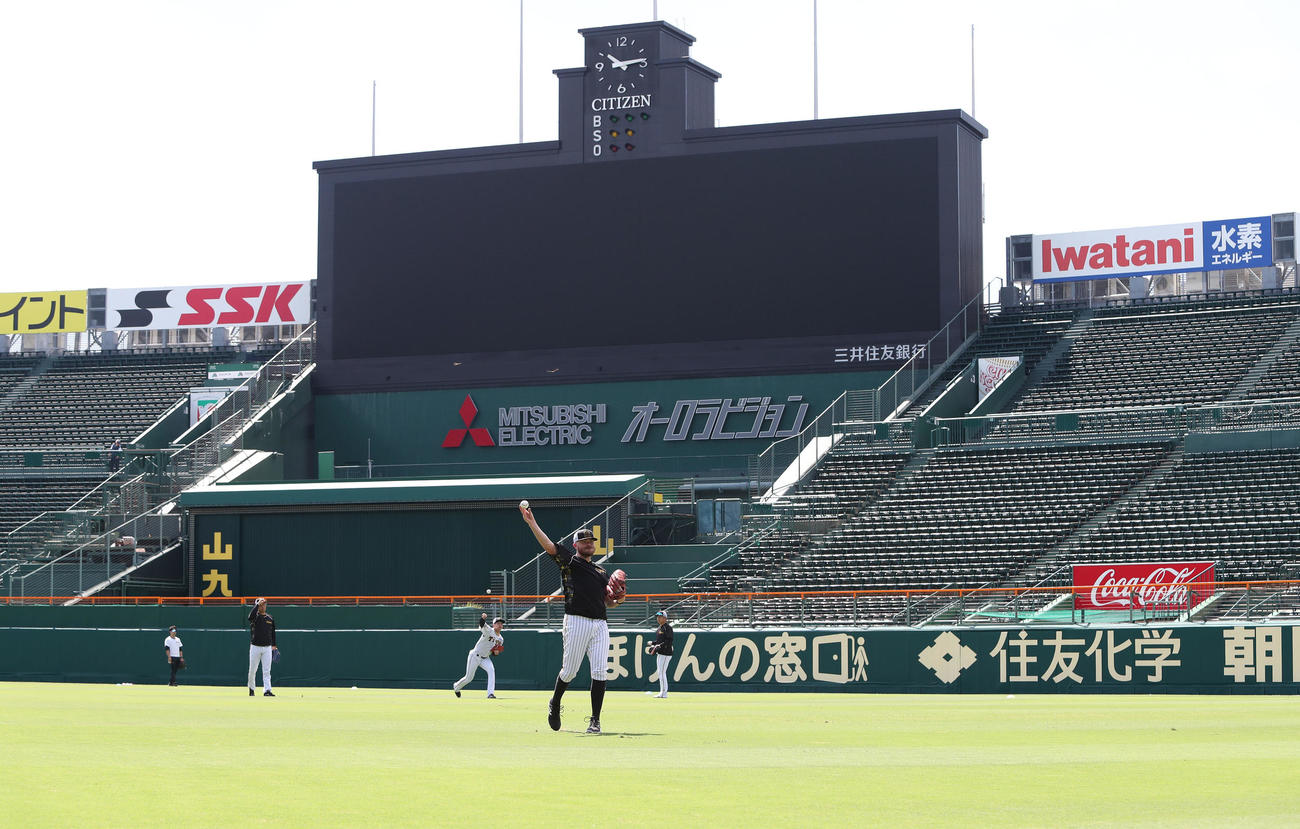 甲子園球場でキャッチボールするビーズリー（中央）ら阪神投手陣（撮影・白石智彦）