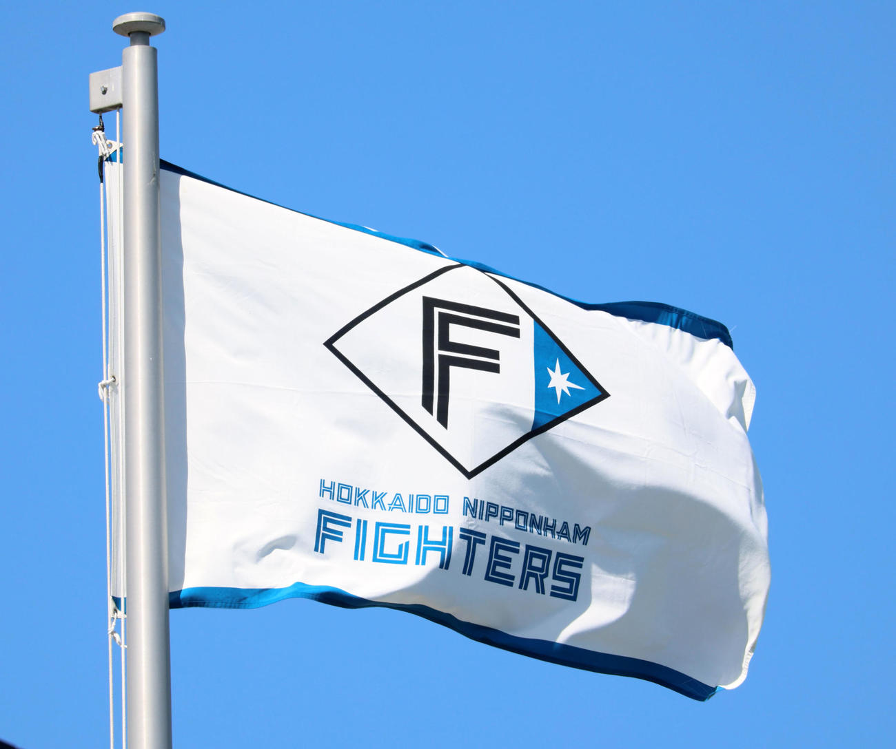 日本ハム球団旗（2024年5月撮影）