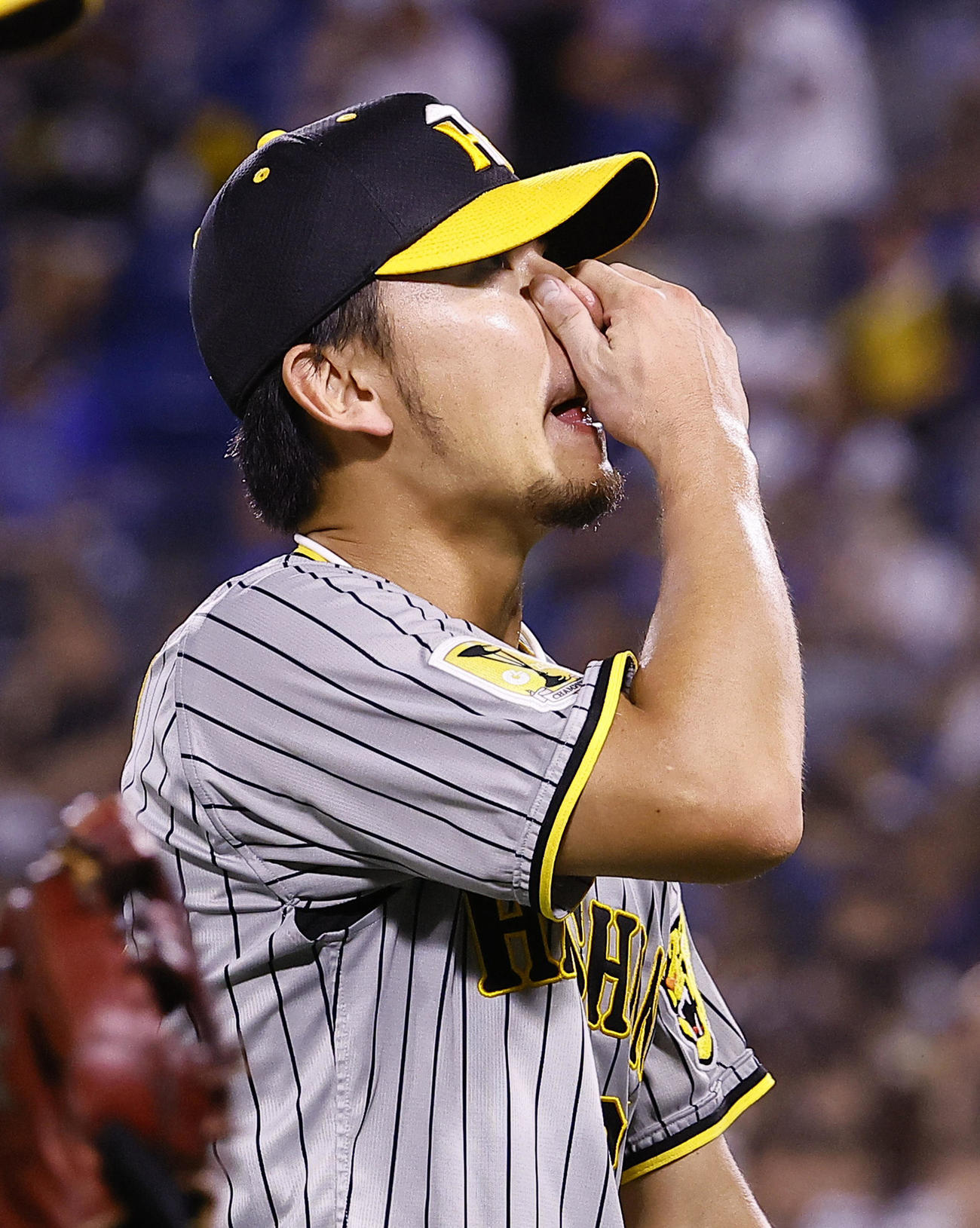 DeNA対阪神　3回を終え渋い表情でベンチに戻る伊藤将（撮影・藤尾明華）