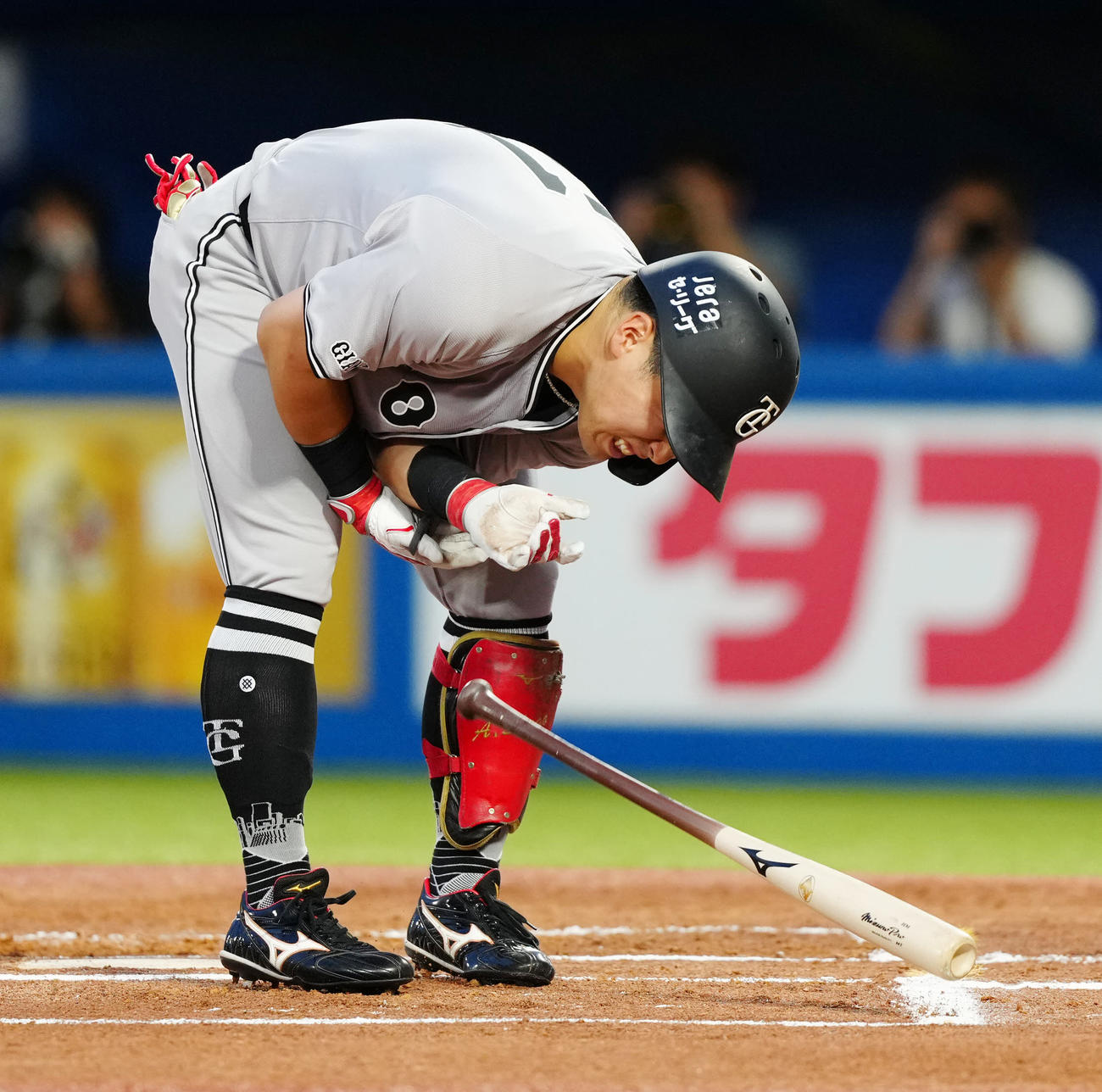 ヤクルト対巨人　1回表巨人1死、死球を受けた浅野（撮影・江口和貴）