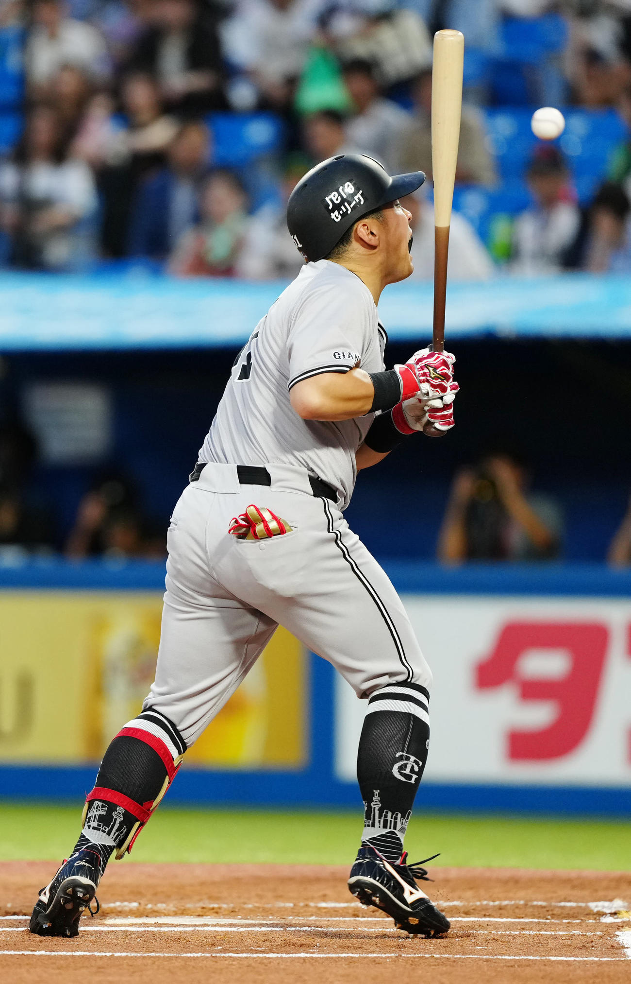 ヤクルト対巨人　1回表巨人1死、死球を受けた浅野（撮影・江口和貴）