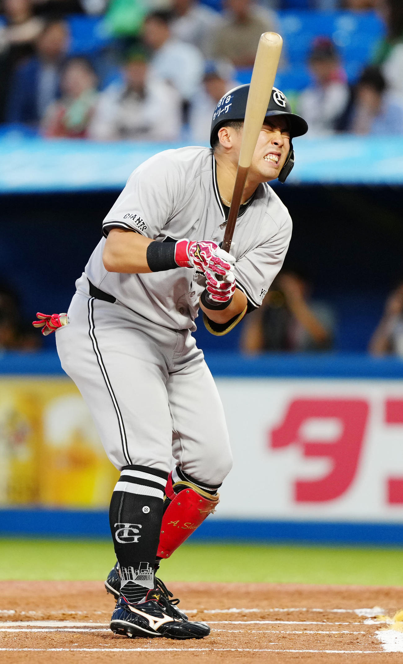 ヤクルト対巨人　1回表巨人1死、死球を受けた浅野（撮影・江口和貴）