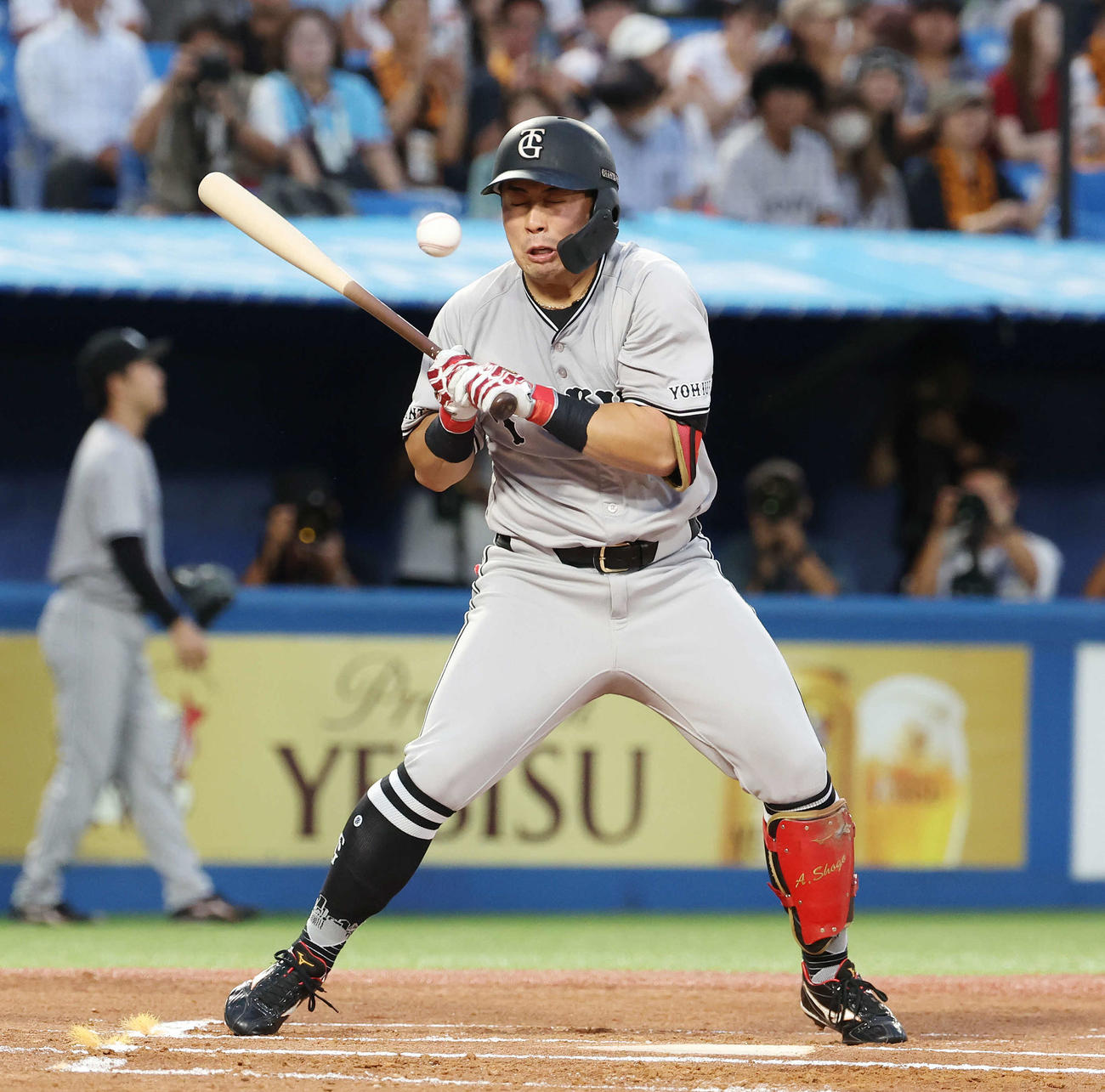 ヤクルト対巨人　1回表巨人1死、死球を受ける浅野（撮影・宮地輝）