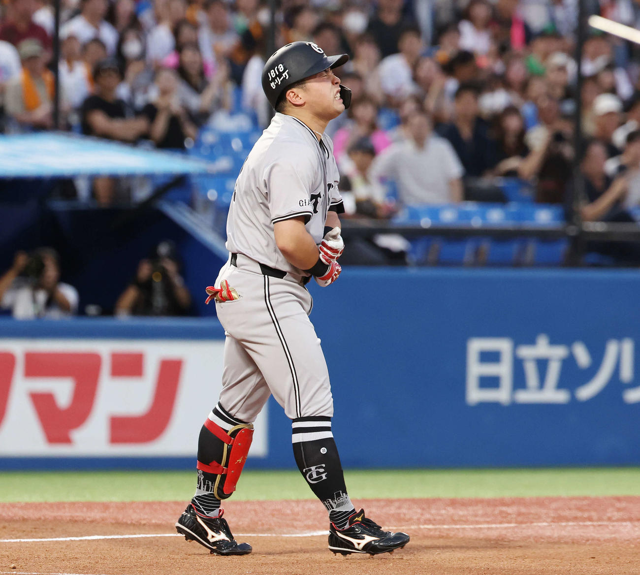 ヤクルト対巨人　1回表巨人1死、死球を受けた浅野（撮影・宮地輝）