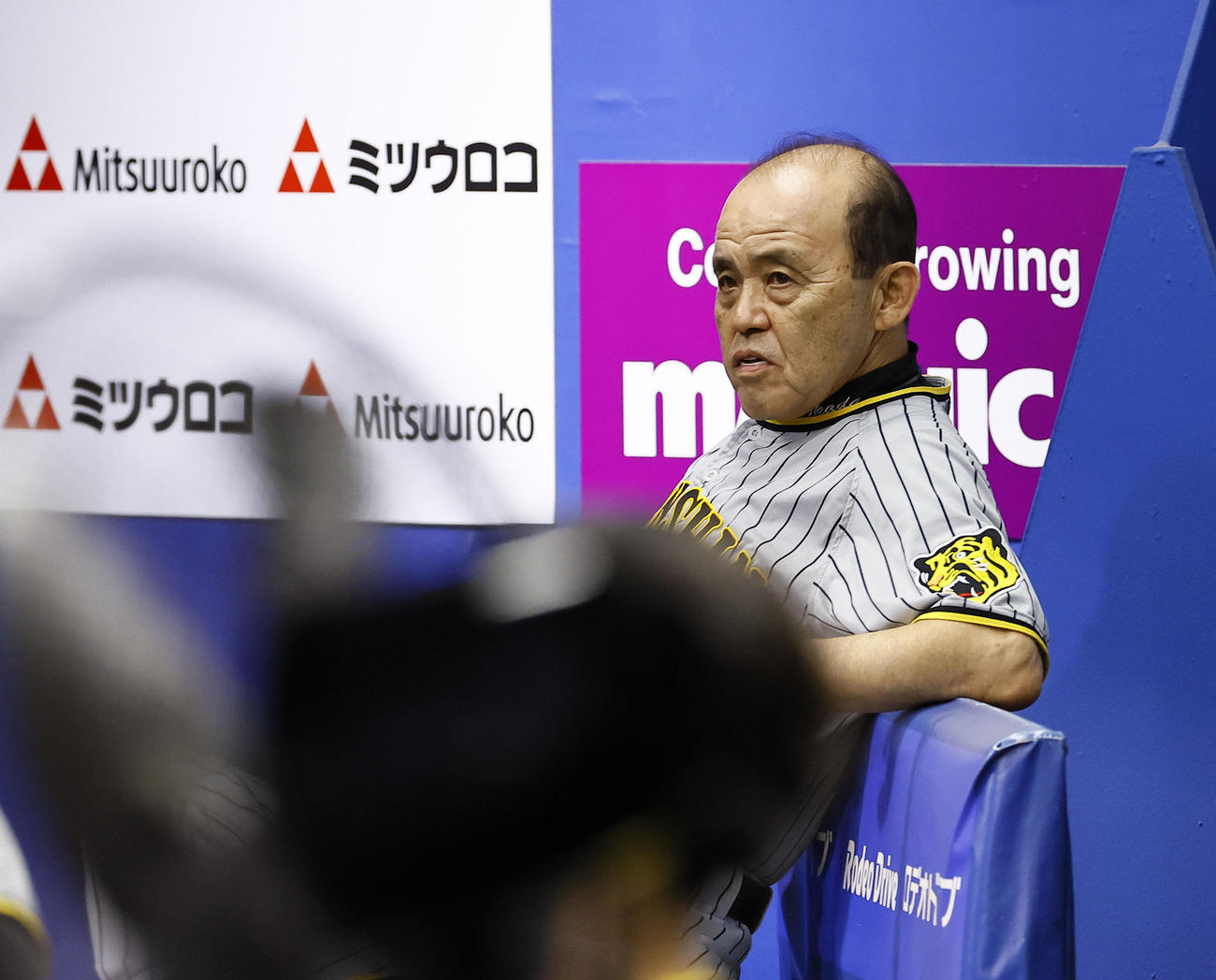 DeNA対阪神　7回、ベンチで厳しい表情を見せる阪神岡田監督（撮影・藤尾明華）