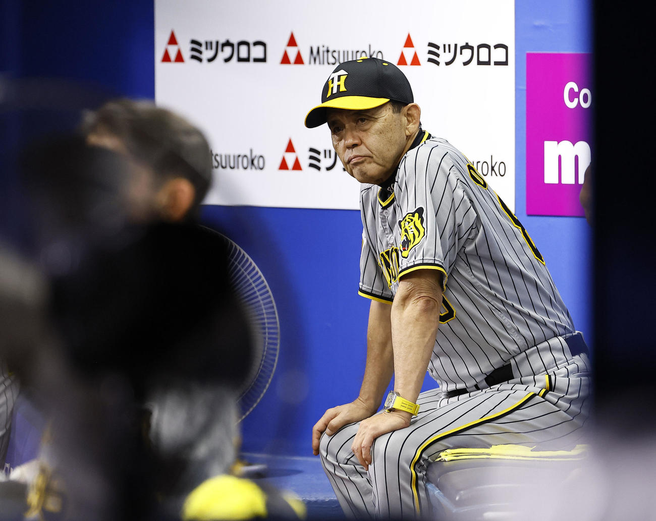 DeNA対阪神　5回、ベンチで戦況を見つめる阪神岡田監督（撮影・藤尾明華）