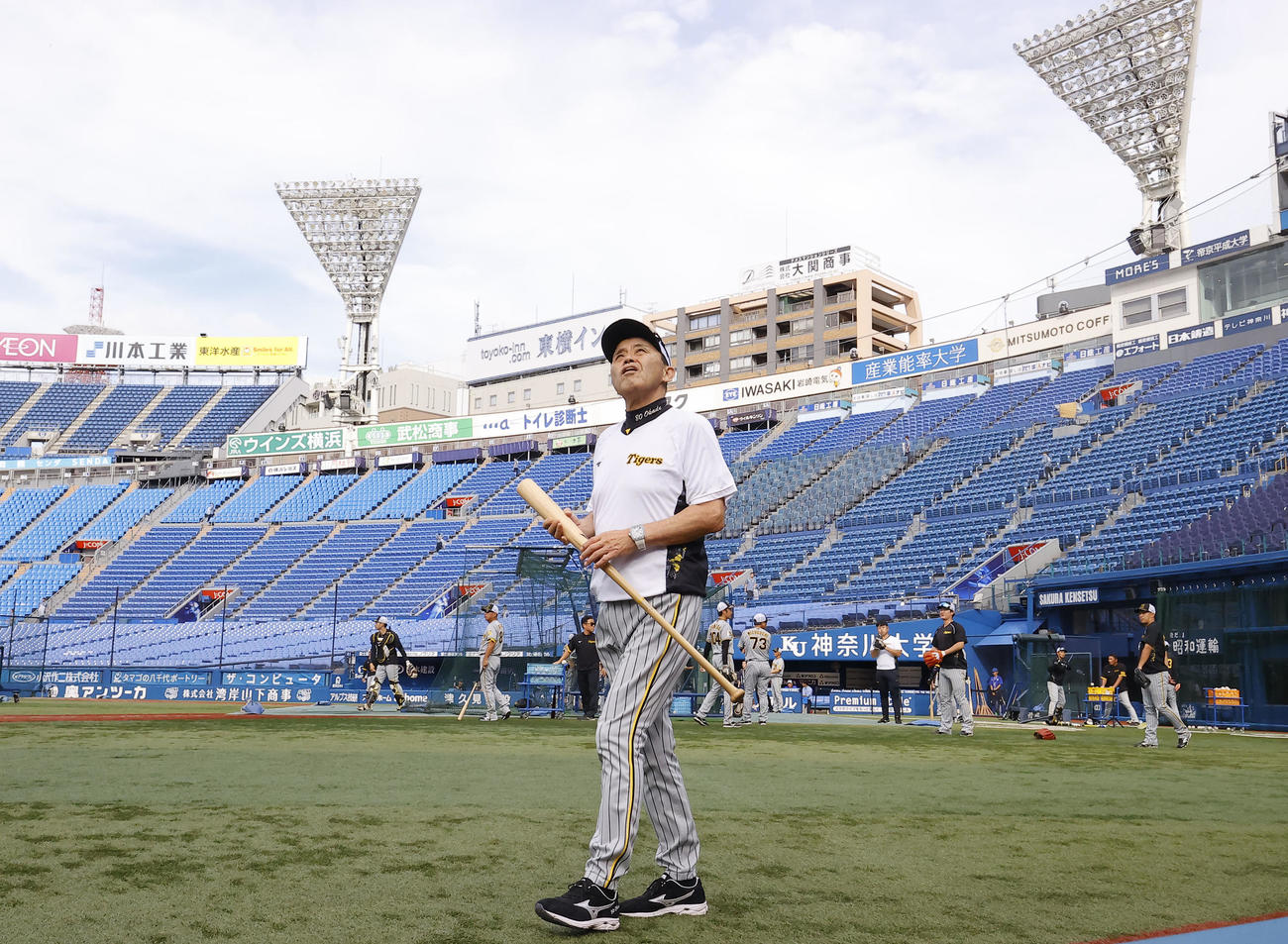 DeNA対阪神　空を見上げながらグラウンドを歩く阪神岡田監督（撮影・藤尾明華）