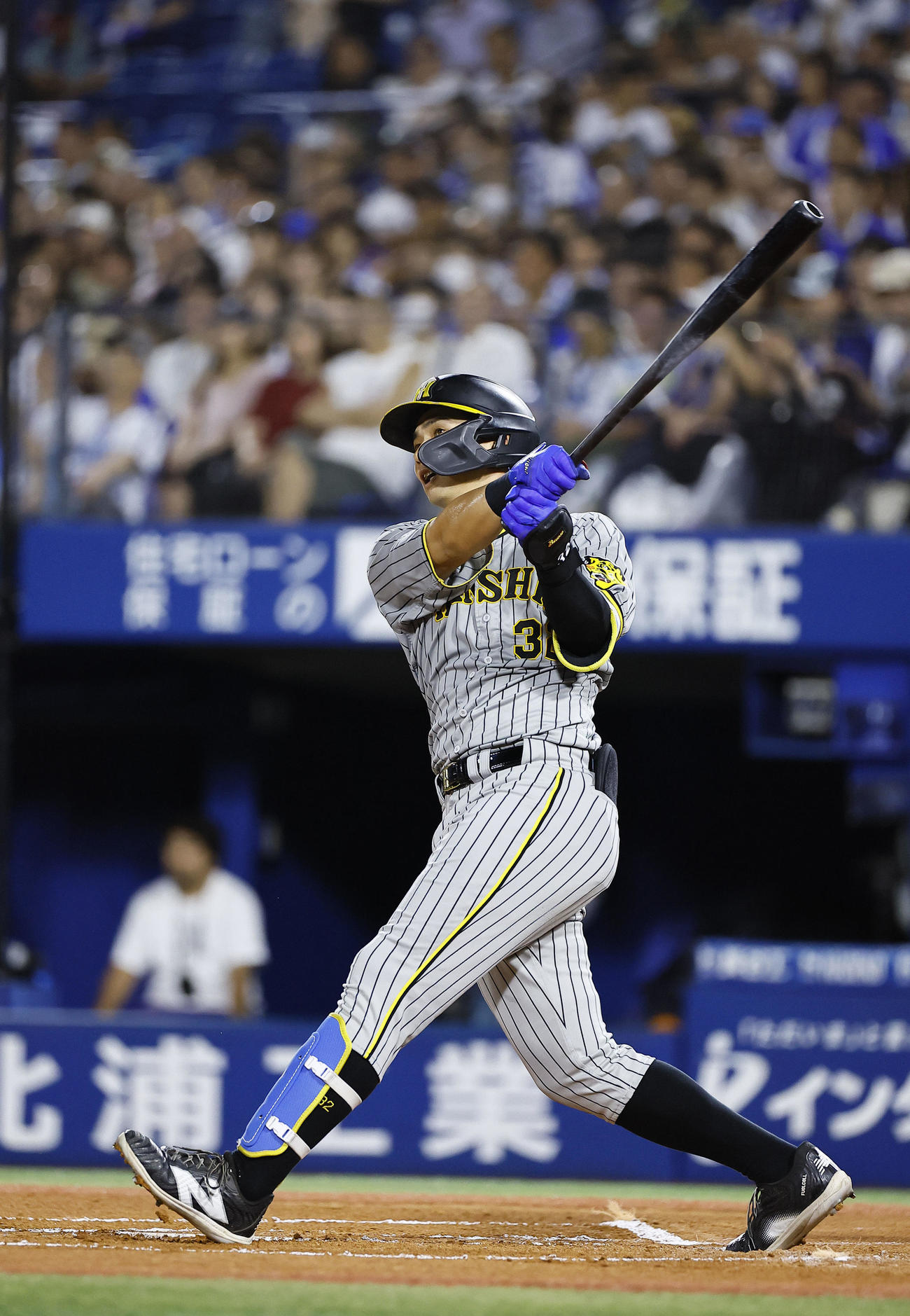 DeNA対阪神　6回表阪神1死、井上は左越えにプロ初本塁打を放つ（撮影・藤尾明華）