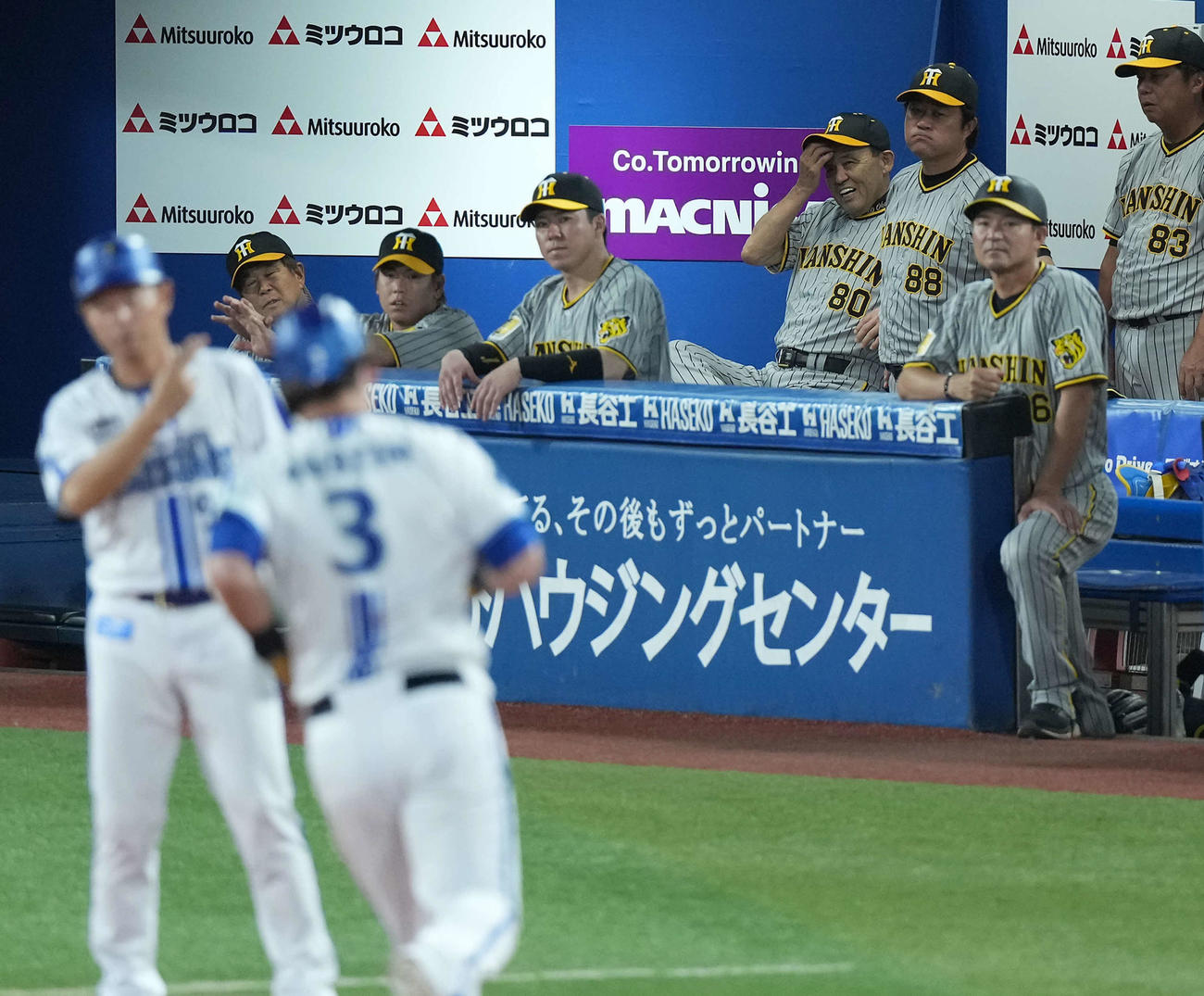 DeNA対阪神　6回裏DeNA1死、オースティンに勝ち越しのソロ本塁打を許しベンチで苦笑いを浮かべる岡田彰布監督（右から4人目）（撮影・たえ見朱実）