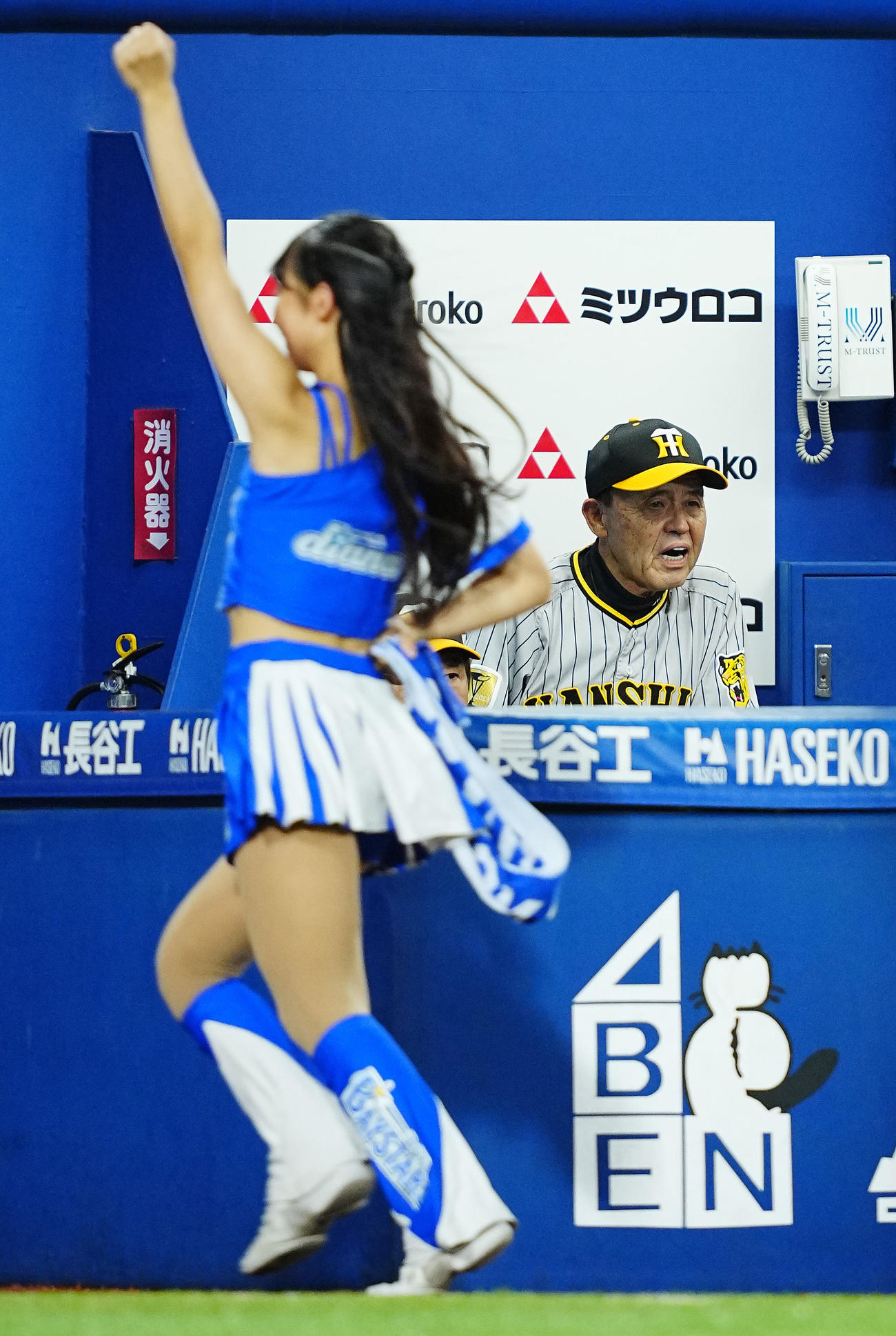 DeNA対阪神　ベンチで厳しい表情の阪神岡田監督（撮影・垰建太）
