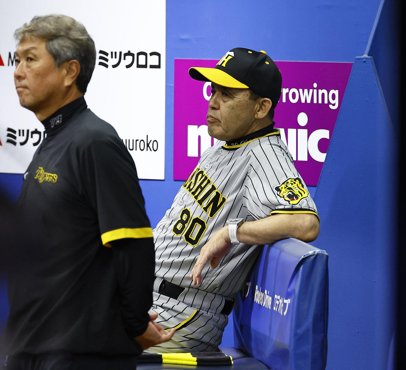 DeNA対阪神　8回、ベンチで戦況を見つめる阪神岡田監督（撮影・藤尾明華）