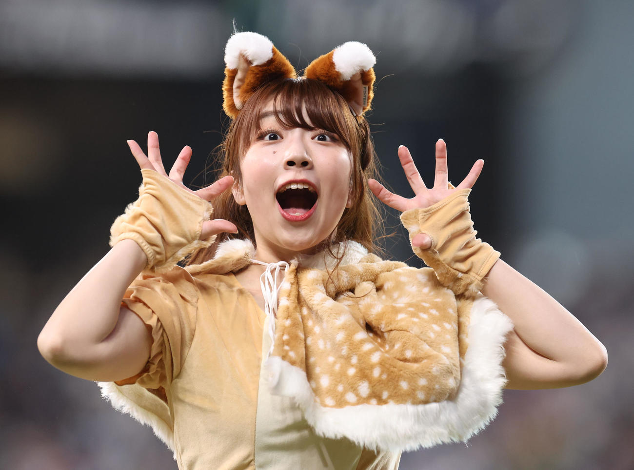 日本ハム対ヤクルト　「きつねダンス」を踊るファイターズガールの上山真奈