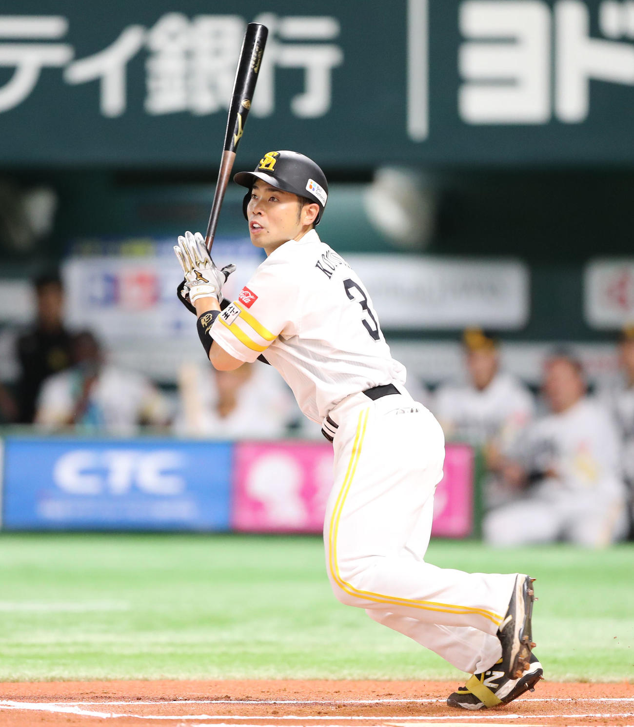 ソフトバンク近藤健介（2024年8月27日撮影）