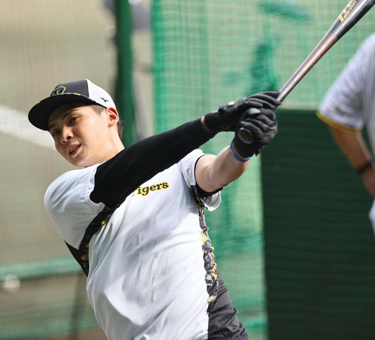 打撃練習をする井上（撮影・上田博志）