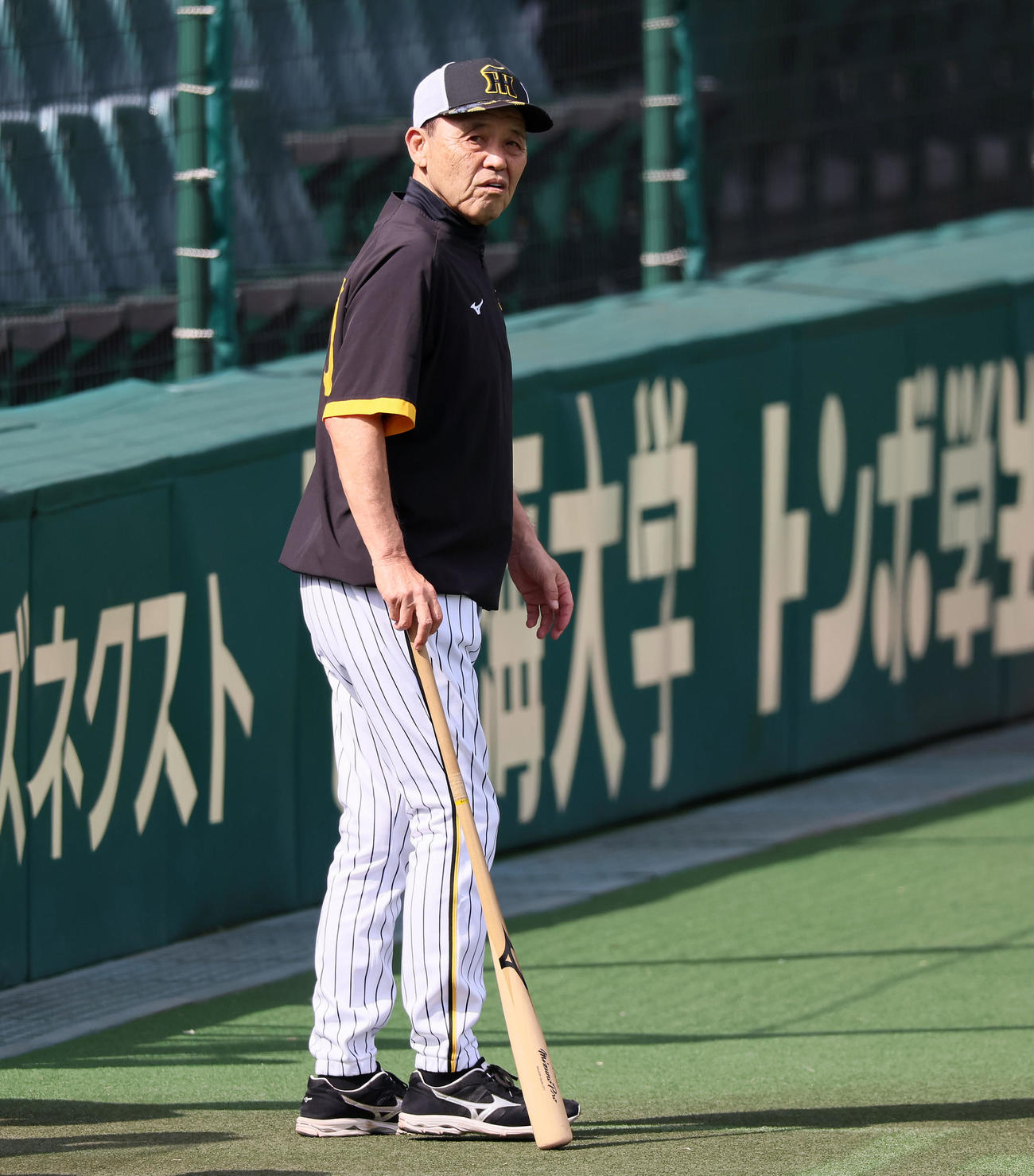 練習するナインを見る岡田監督（撮影・加藤哉）