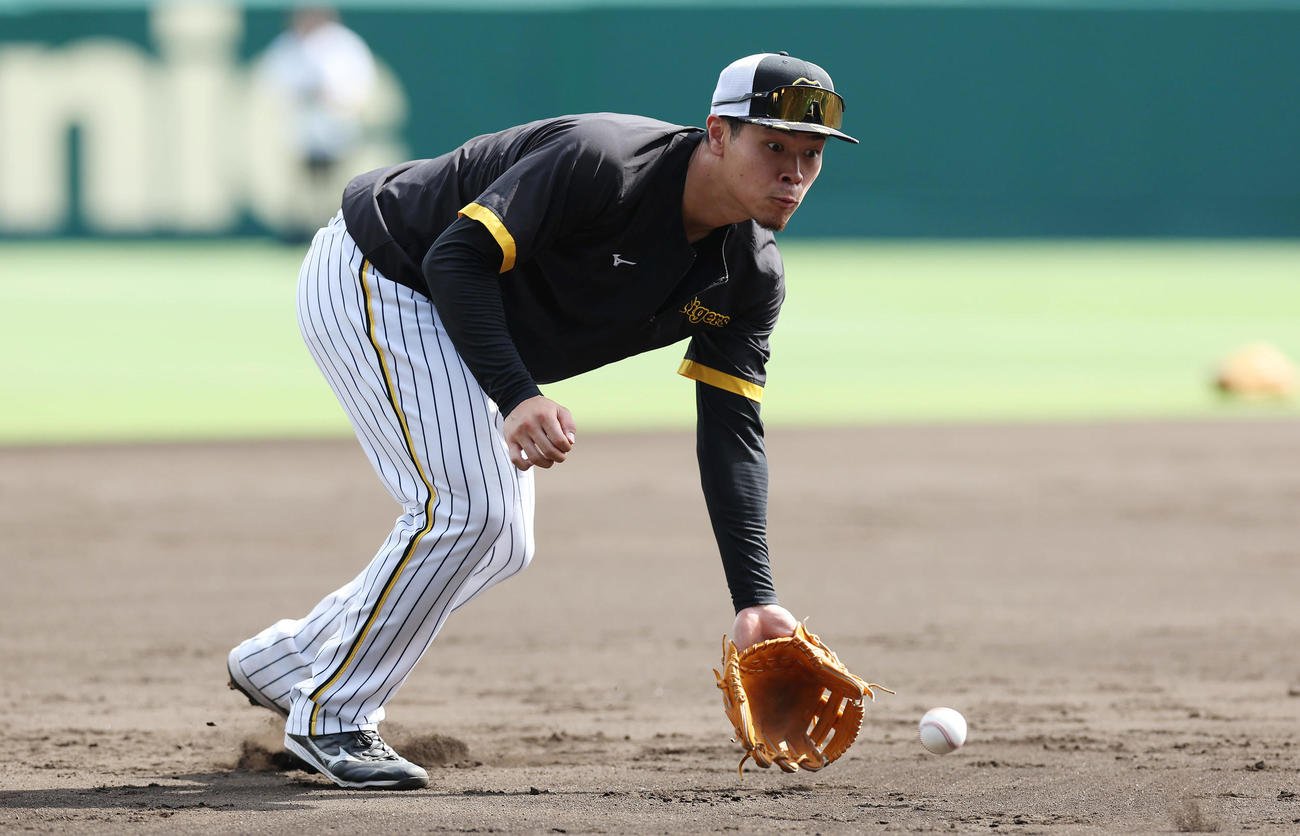 阪神対巨人　試合が中止となり、練習でノックを受ける阪神佐藤輝（撮影・前田充）