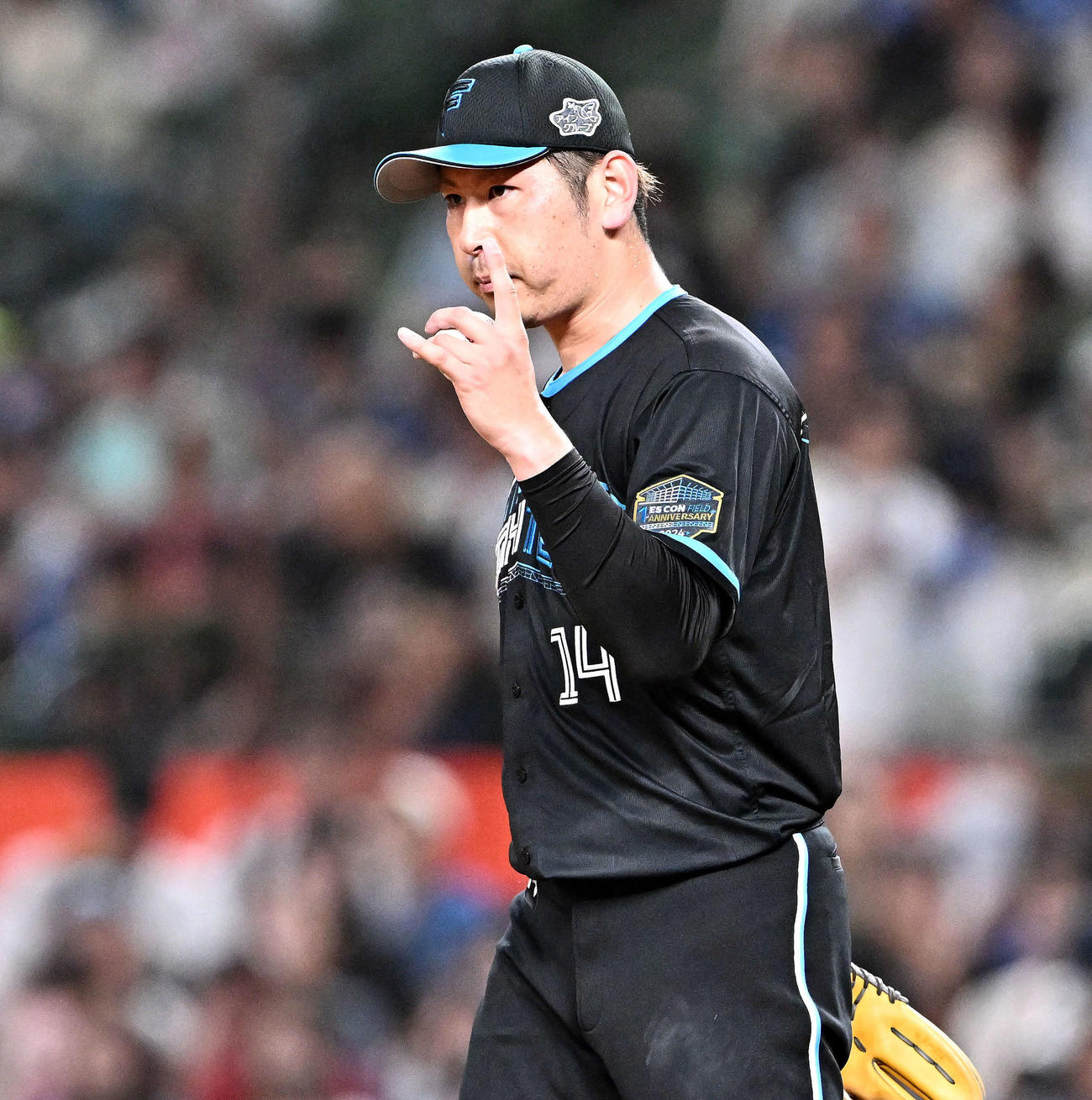 西武対日本ハム　引き締まった表情の日本ハム加藤貴（撮影・滝沢徹郎）