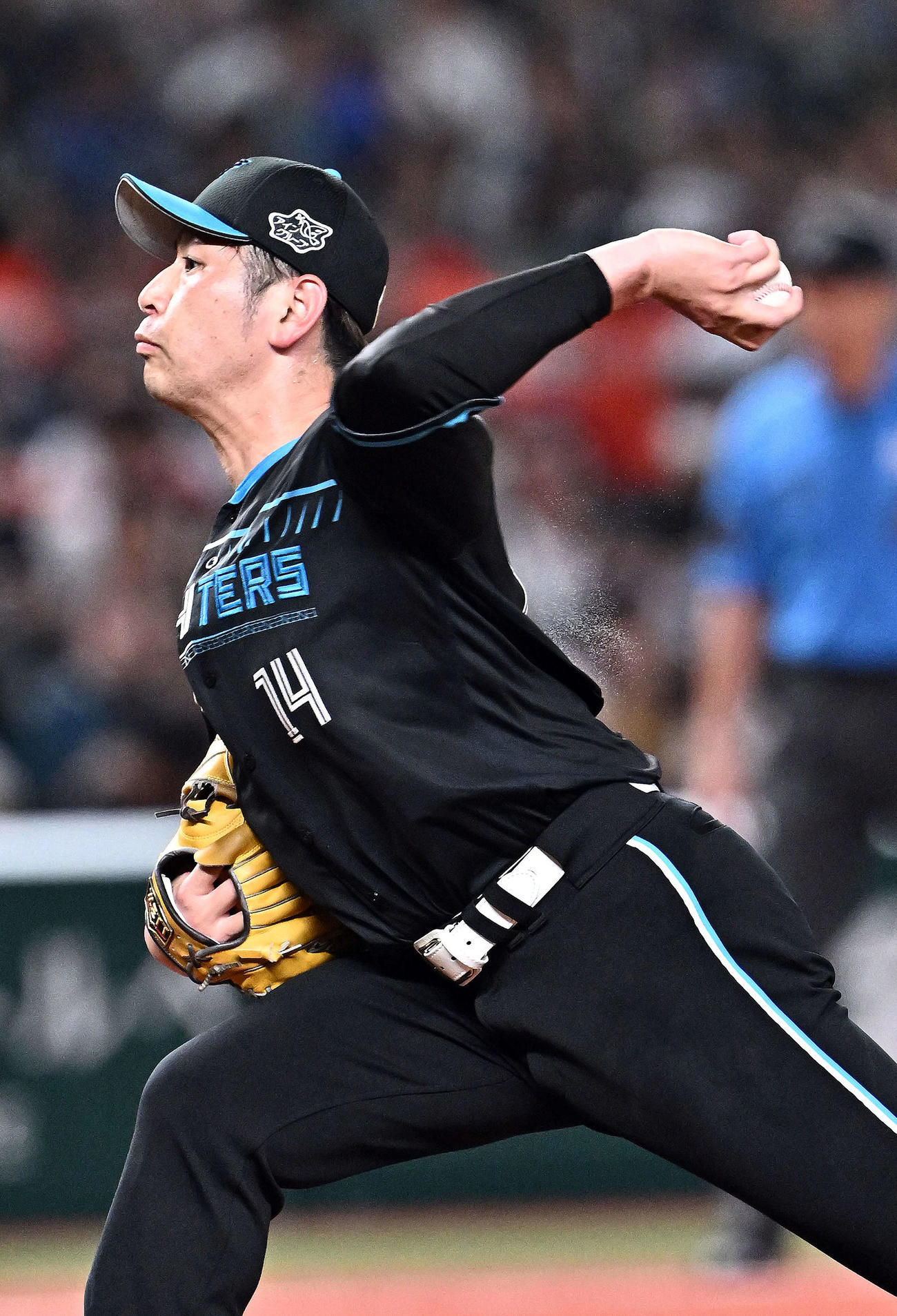 西武対日本ハム　力投する日本ハム先発の加藤貴（撮影・滝沢徹郎）