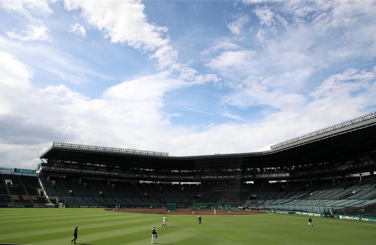 甲子園球場で練習を行う阪神ナイン(2024年8月30日撮影)