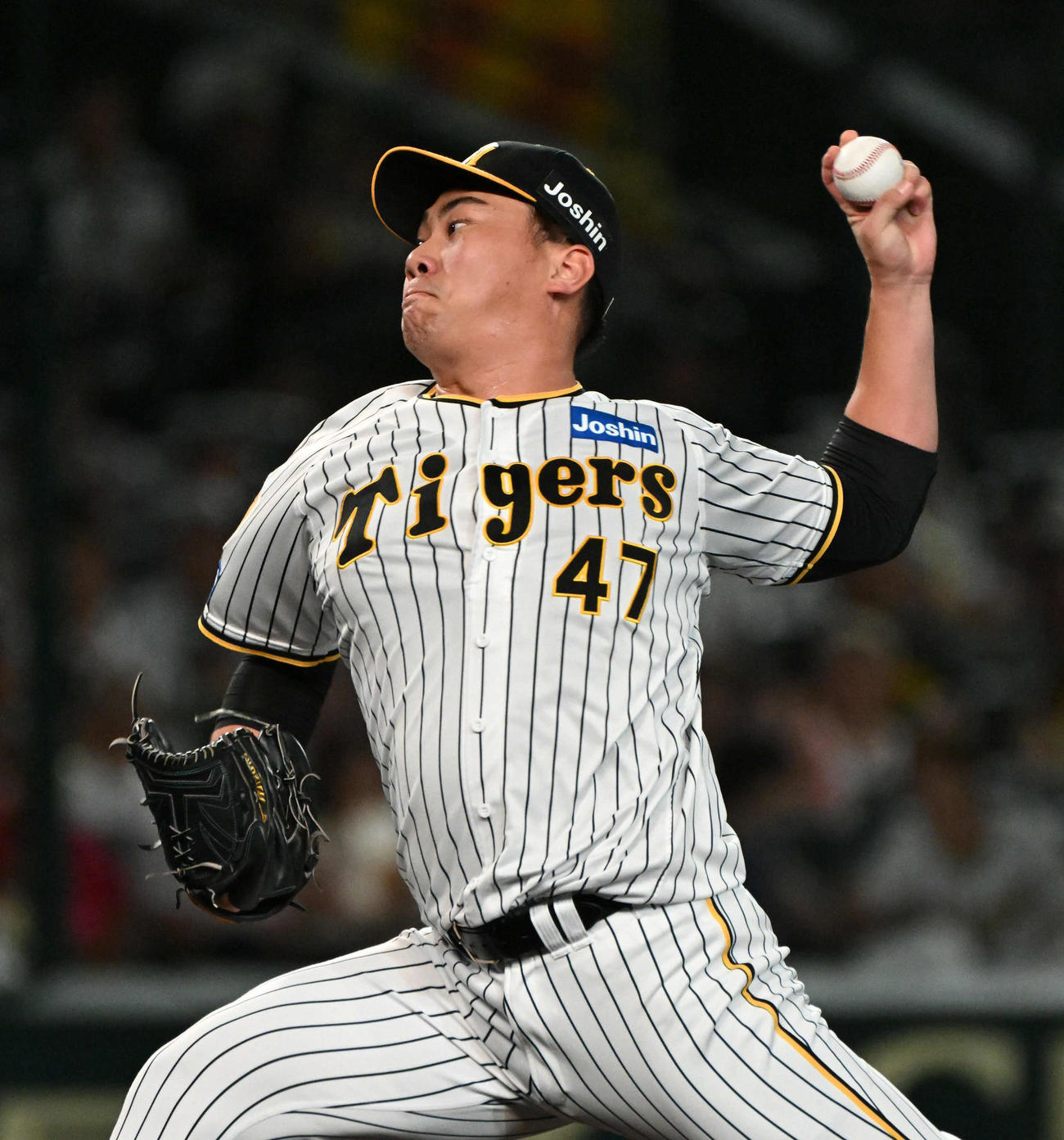 阪神対巨人　8回表を無失点とした阪神3番手の桐敷（撮影・石井愛子）
