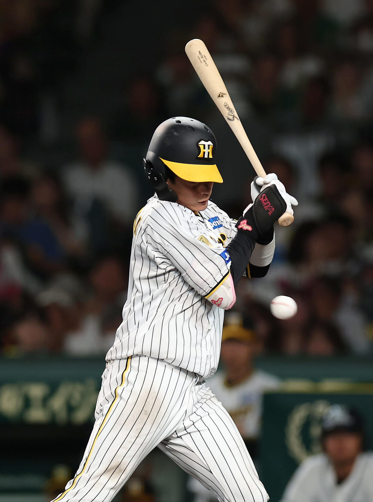 阪神対巨人　8回裏阪神1死、死球を受ける木浪（撮影・前田充）