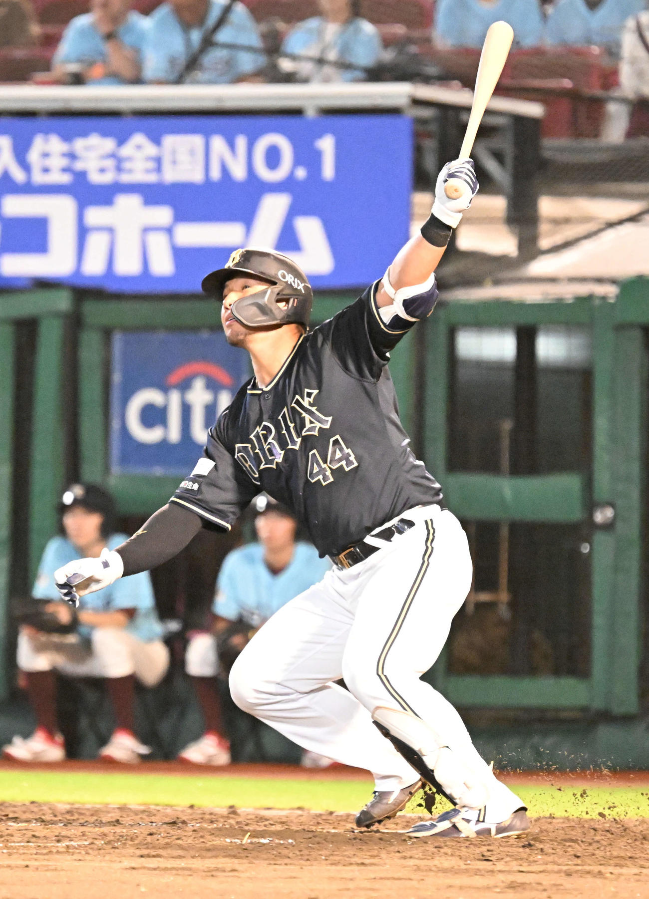 楽天対オリックス　4回表オリックス1死、頓宮が左越えに先制ソロ本塁打を放つ（撮影・千葉一成）