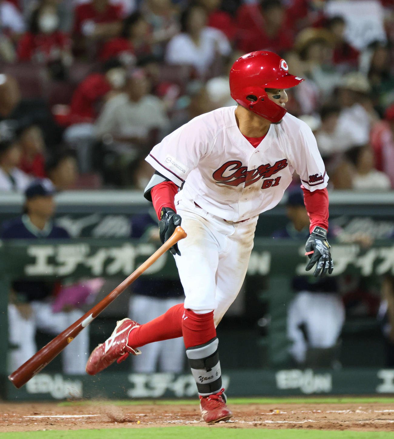 広島矢野雅哉（2024年8月31日撮影）