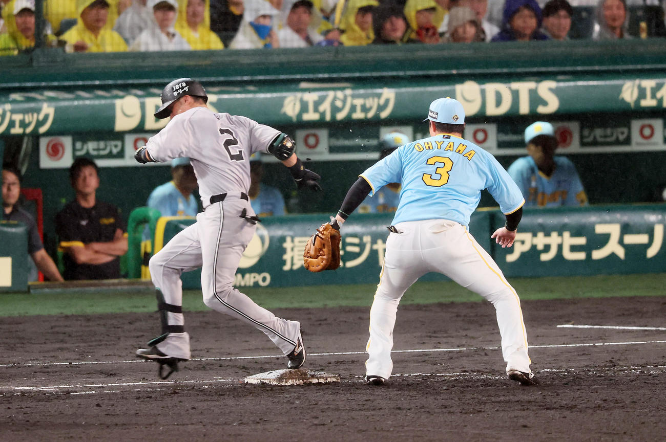 阪神対巨人　7回表巨人無死一塁、吉川は三塁線にバントを決め、悪送球を誘い出塁する。一塁手大山（撮影・加藤哉）