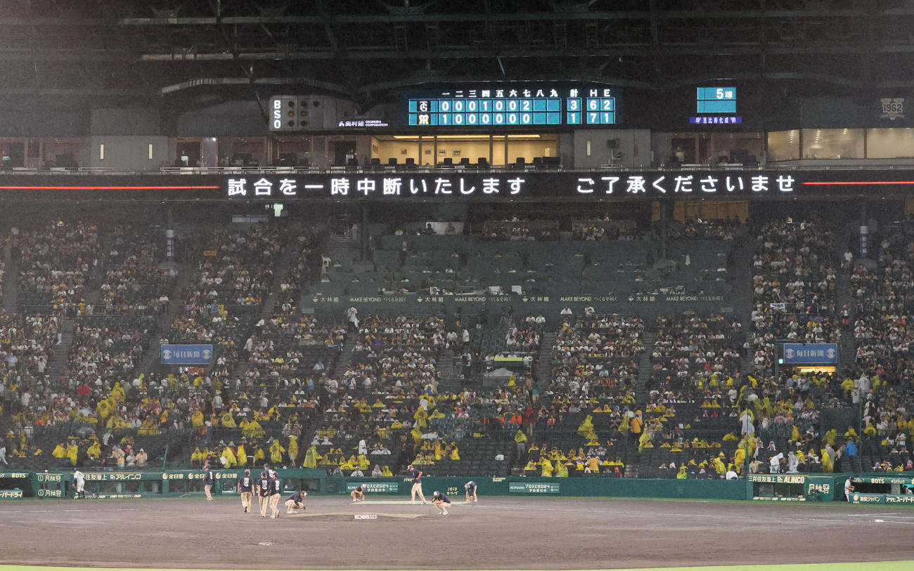 阪神対巨人　7回裏を終え甲子園球場は降雨中断（撮影・加藤哉）