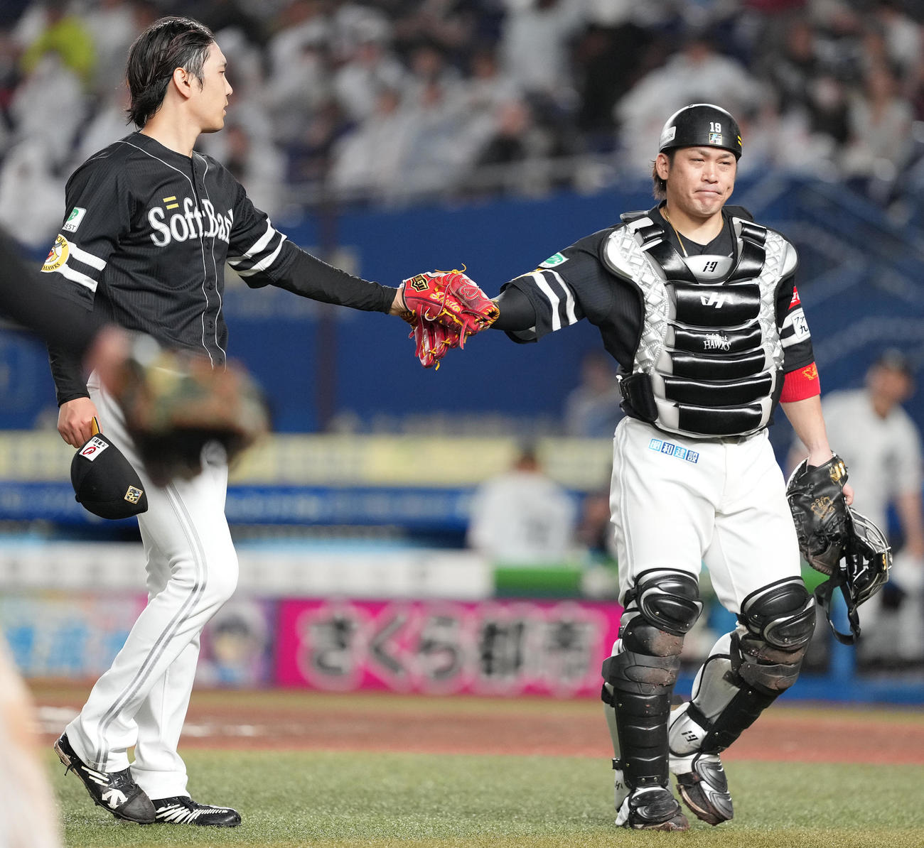 ロッテ対ソフトバンク　6回裏まで無失点に抑え、甲斐（右）とタッチを交わすソフトバンク石川（撮影・鈴木みどり）