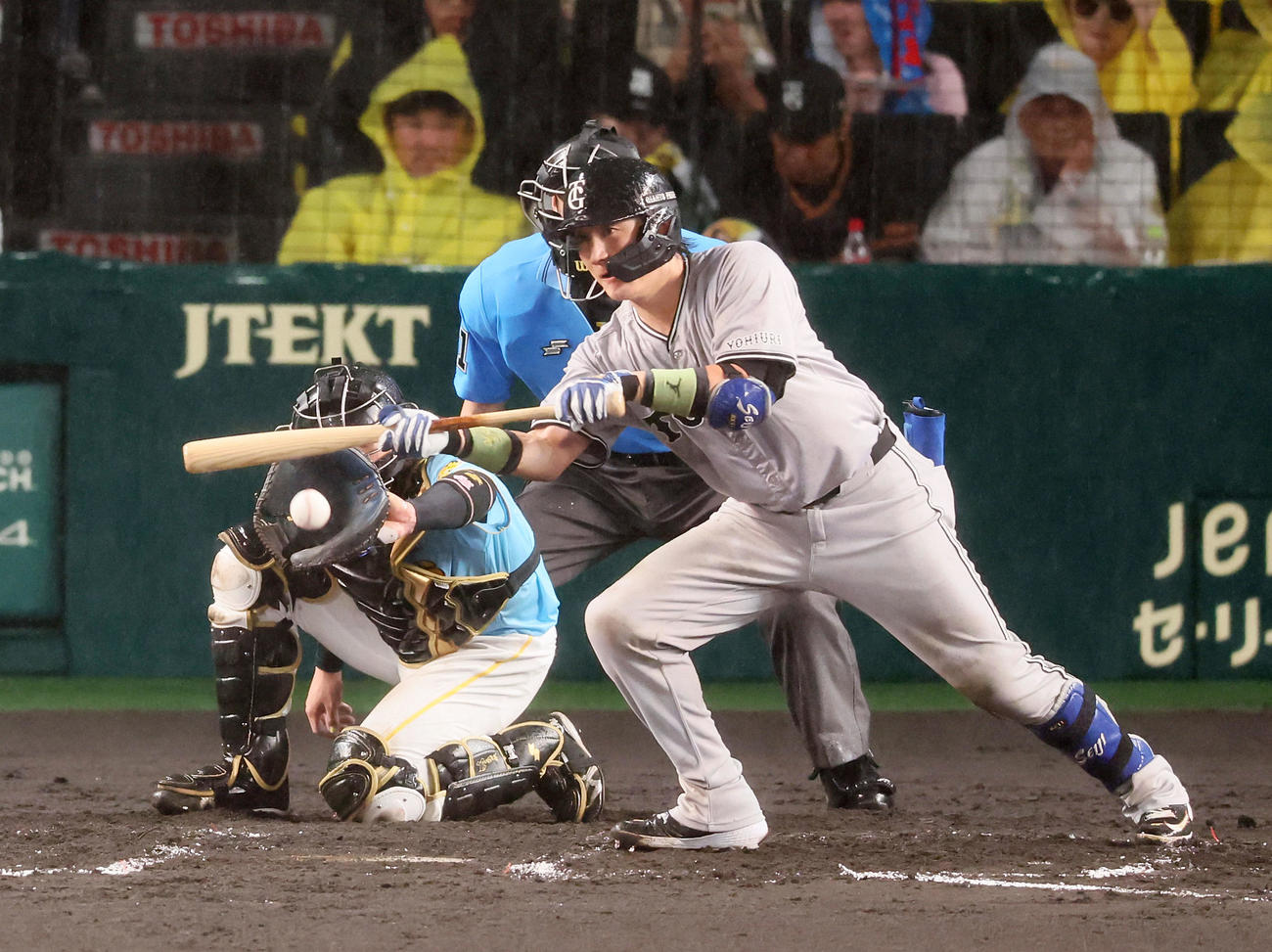阪神対巨人　7回表巨人無死一、三塁、小林は三塁線にセーフティースクイズ成功（撮影・加藤哉）