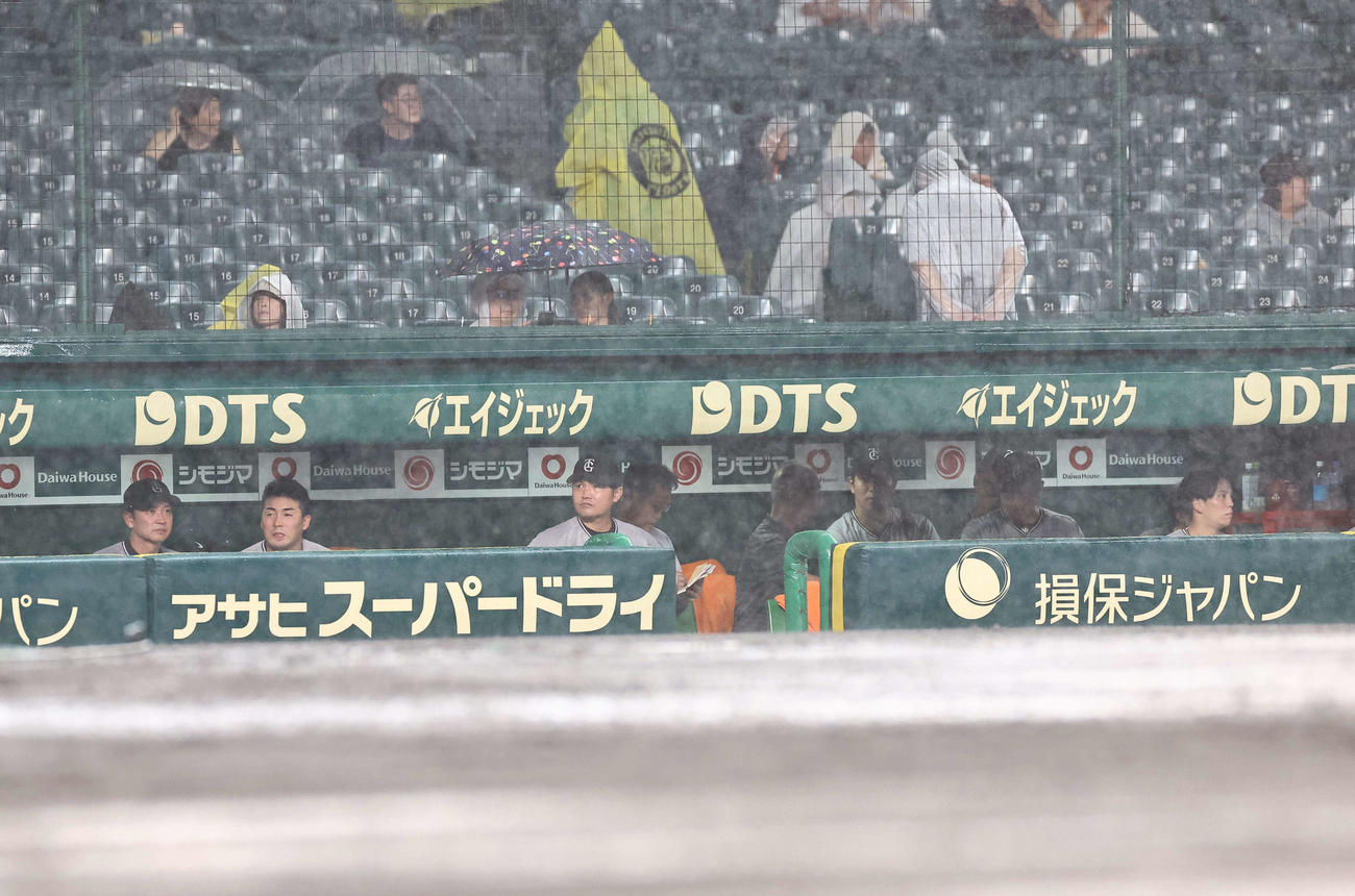 阪神対巨人　浅野翔吾（左から2人目）ら巨人ナインはベンチで試合再開を待つ（撮影・上田博志）