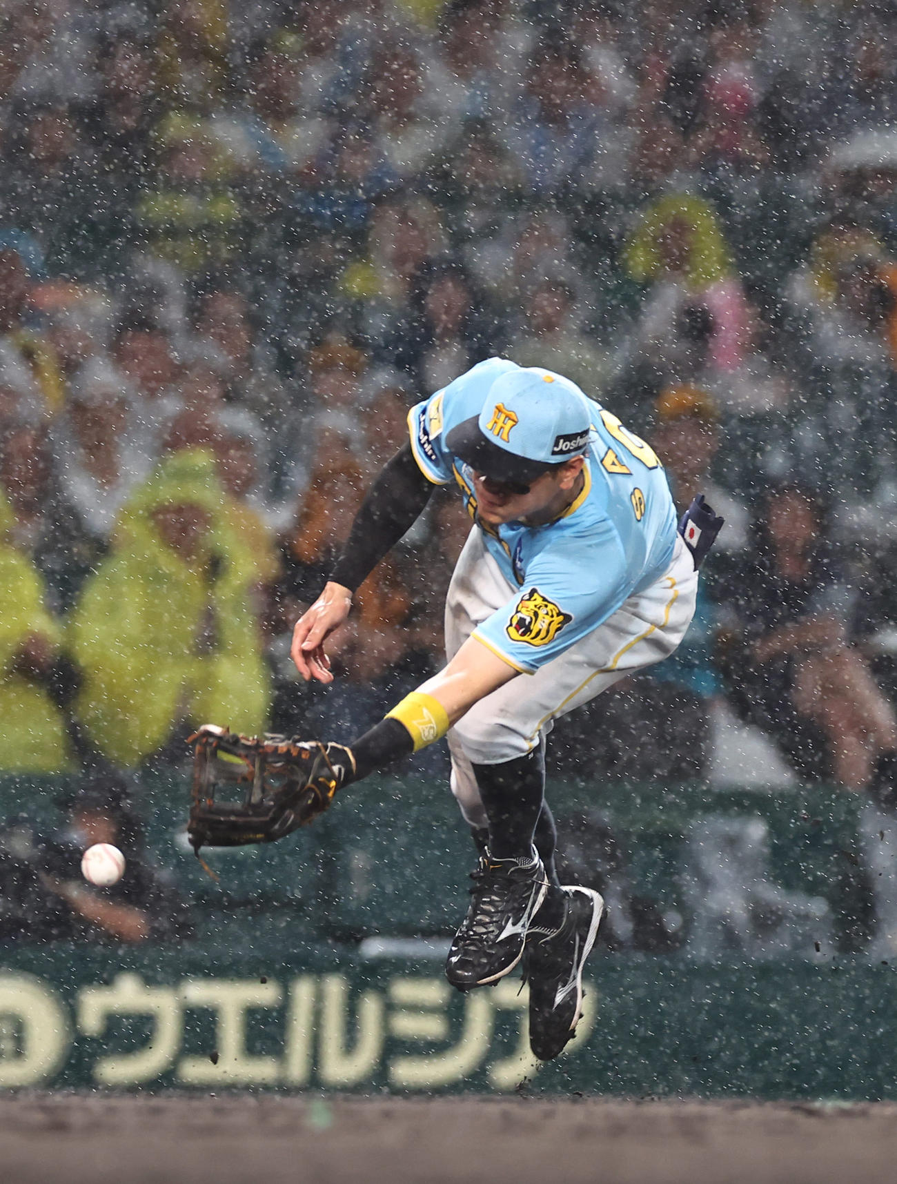 阪神対巨人　7回表巨人無死一、三塁、佐藤輝は小林のバントを本塁へグラブトスするもフィルダースチョイスとなる（撮影・上田博志）