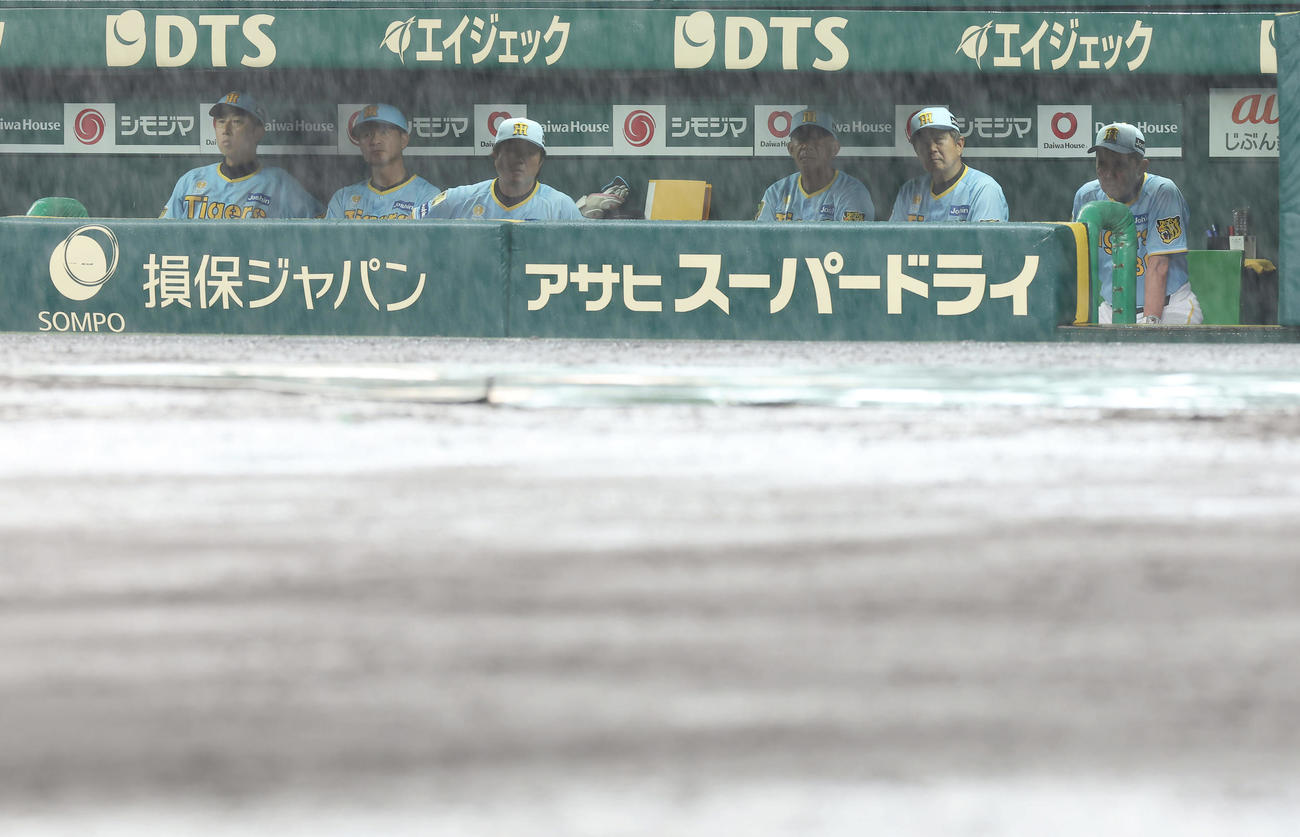 阪神対巨人　7回を終え降雨で試合が中断となり、ベンチで厳しい表情を見せる阪神岡田監督（右端）ら（撮影・前田充）