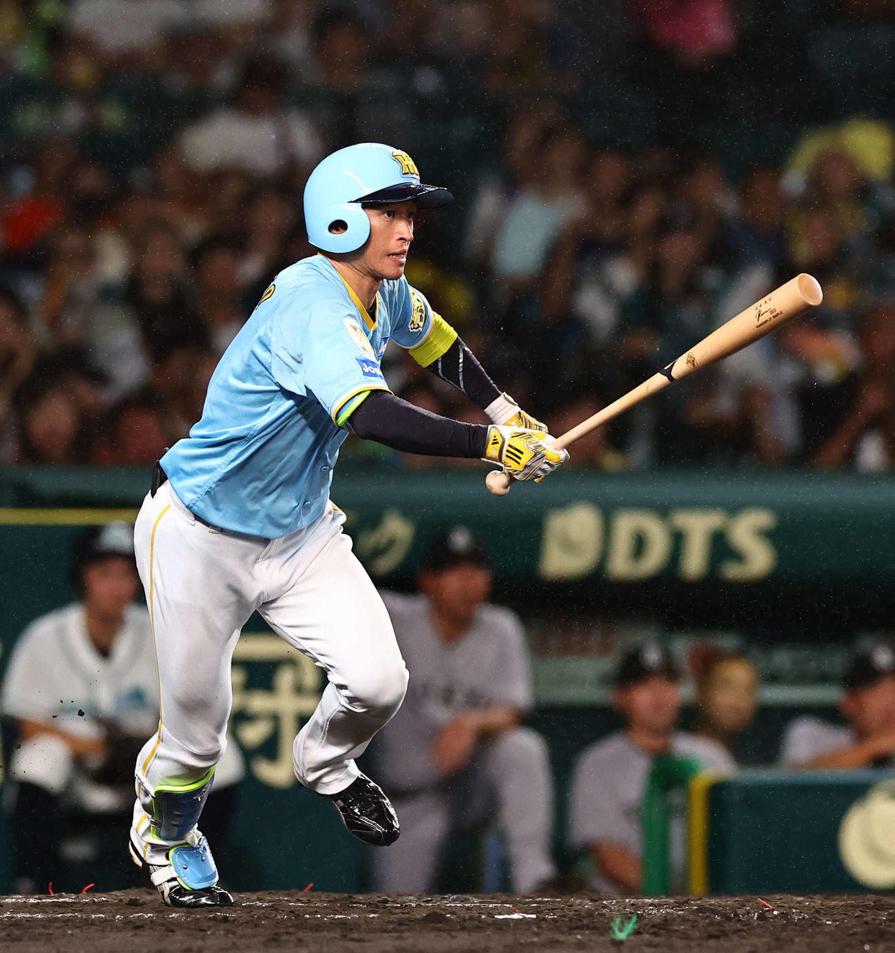 阪神対巨人　5回裏阪神2死、近本は二塁内野安打で出塁する（撮影・上田博志）