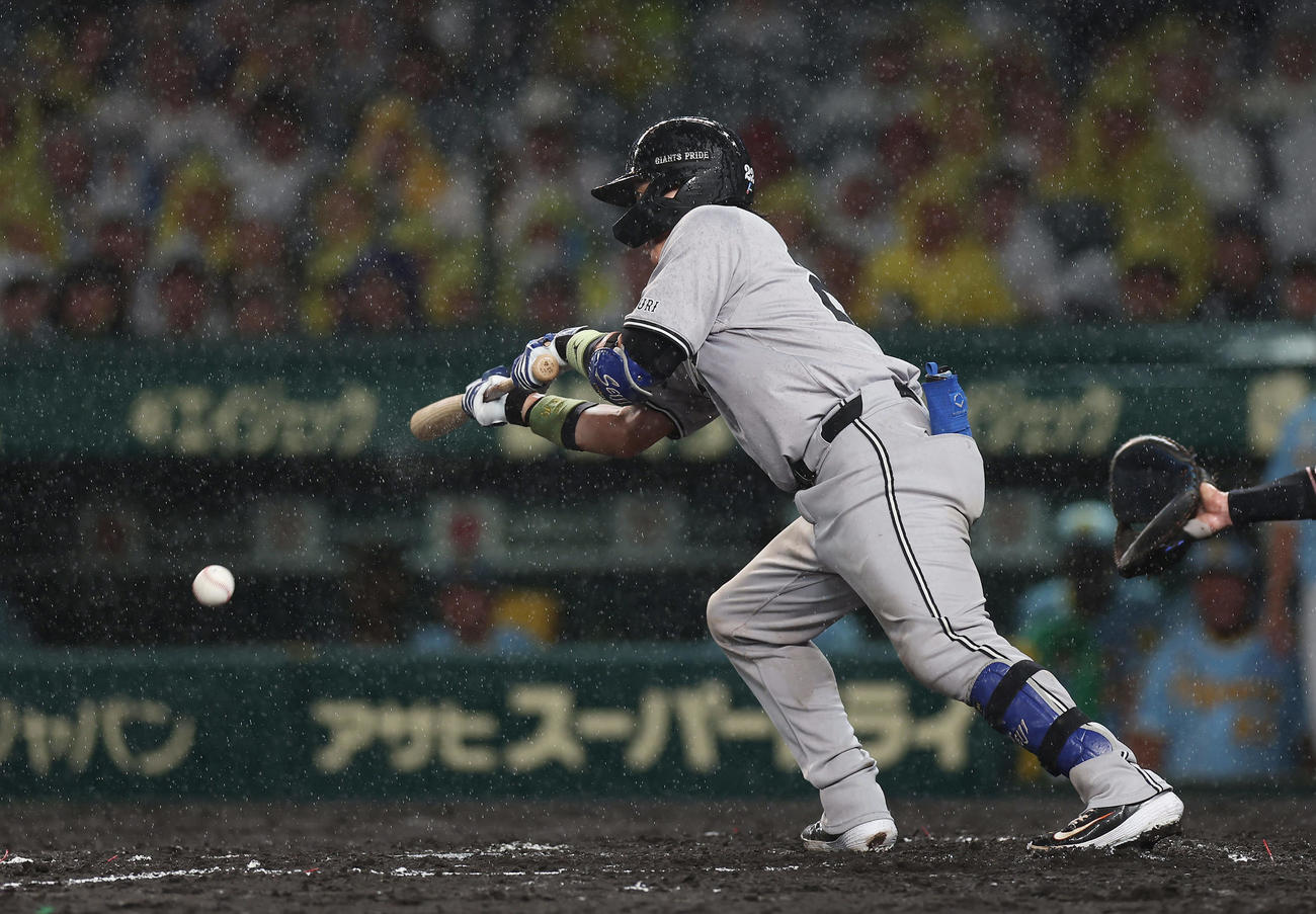 阪神対巨人　7回表巨人無死一、三塁、セーフティスクイズを決める小林（撮影・前田充）