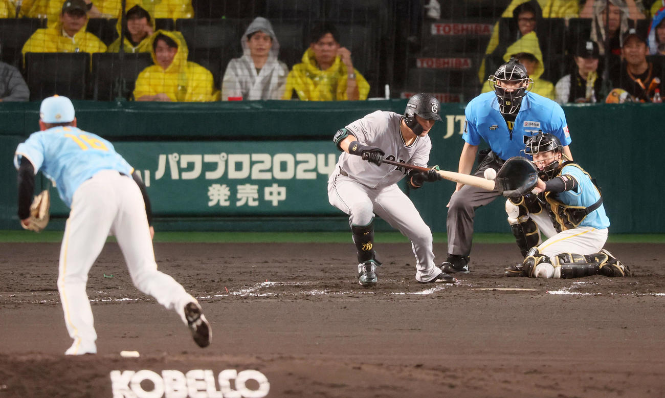 阪神対巨人　7回表巨人無死一塁、吉川は三塁線にバントを決める。投手西勇（撮影・加藤哉）