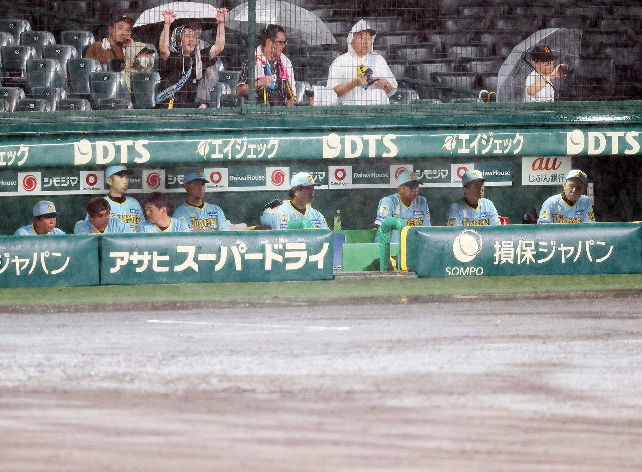 阪神対巨人　7回裏を終え降雨中断となりベンチからグラウンドを見る岡田監督と阪神ナイン（撮影・加藤哉）