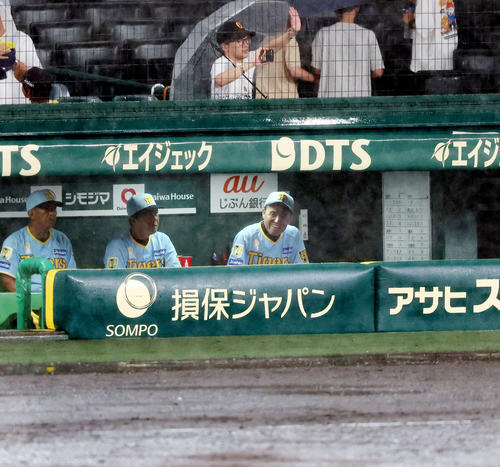 データ】阪神は残り22試合で首位に5・5ゲーム差に…プロ野球最大14・5