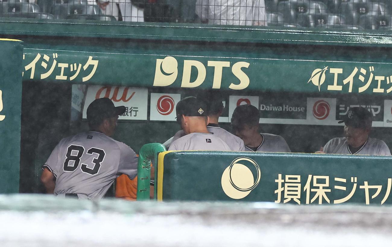 阪神対巨人　コールド勝利した阿部監督（左）はコーチ陣と握手を交わす（撮影・上田博志）