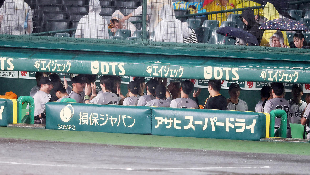 阪神対巨人　降雨コールド勝ちの巨人ナインはベンチ内でハイタッチする（撮影・加藤哉）
