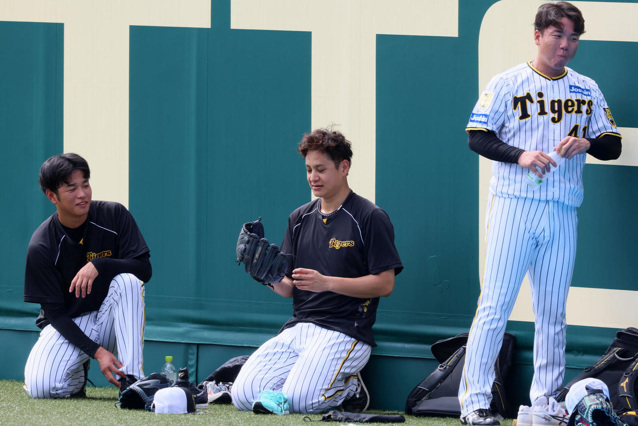練習の合間に言葉を交わす左から阪神高橋、大竹、村上（撮影・加藤哉）