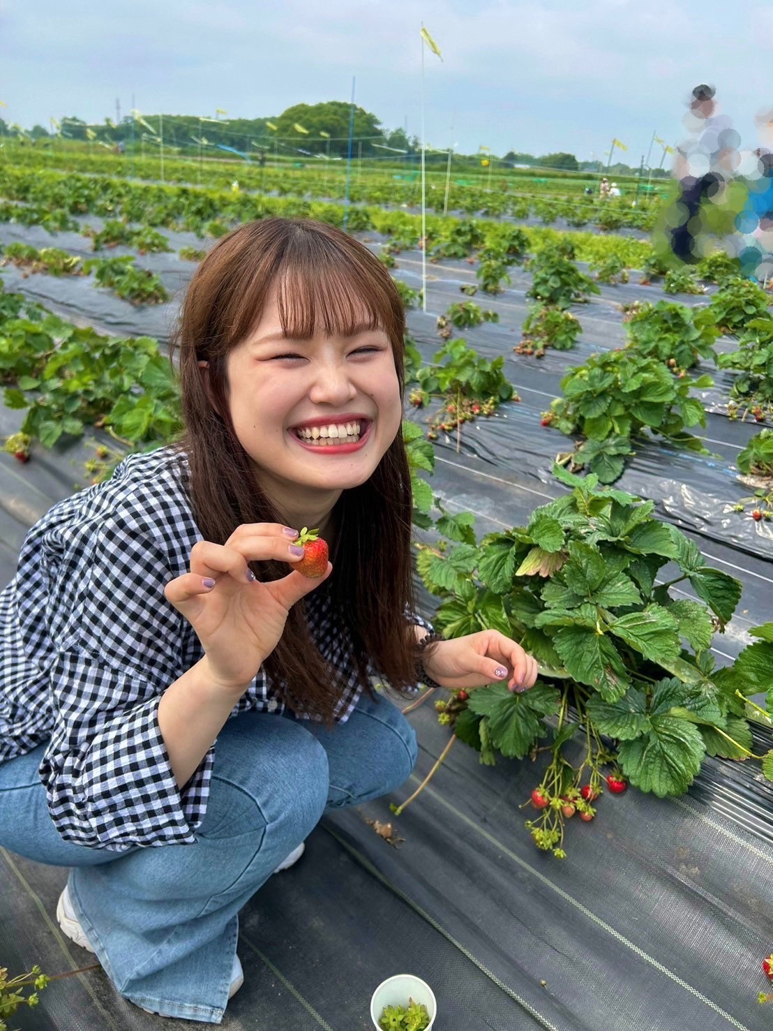 ファイターズガール鈴木志織のお気に入り写真