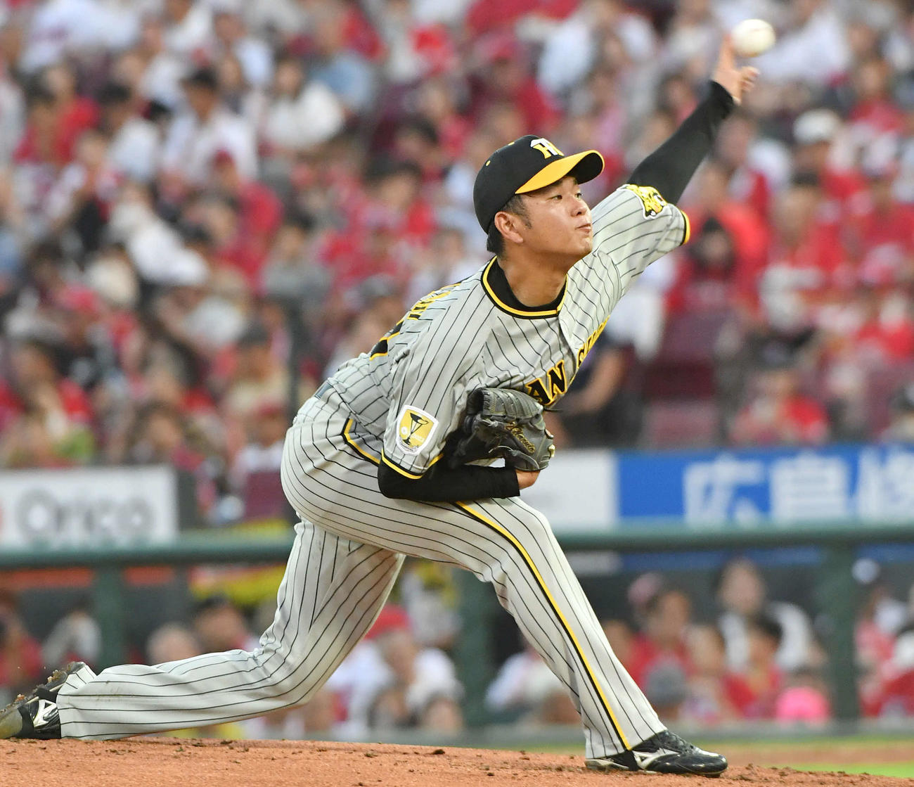 高橋遥人(2024年8月23日撮影)