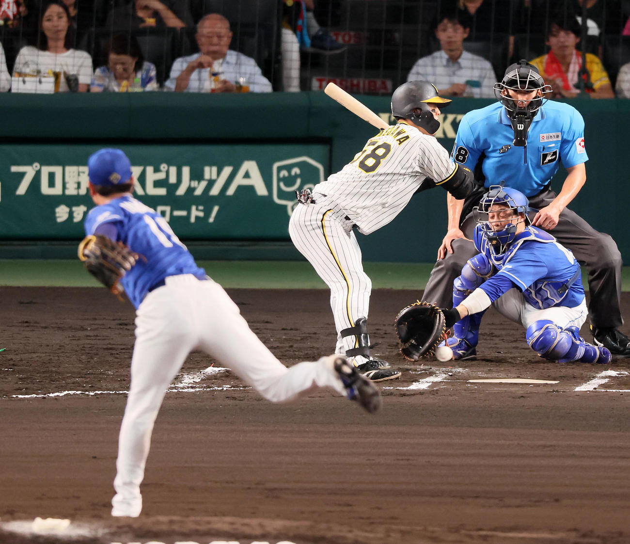 阪神対中日　6回裏阪神2死、死球を受ける前川。投手高橋宏（撮影・加藤哉）