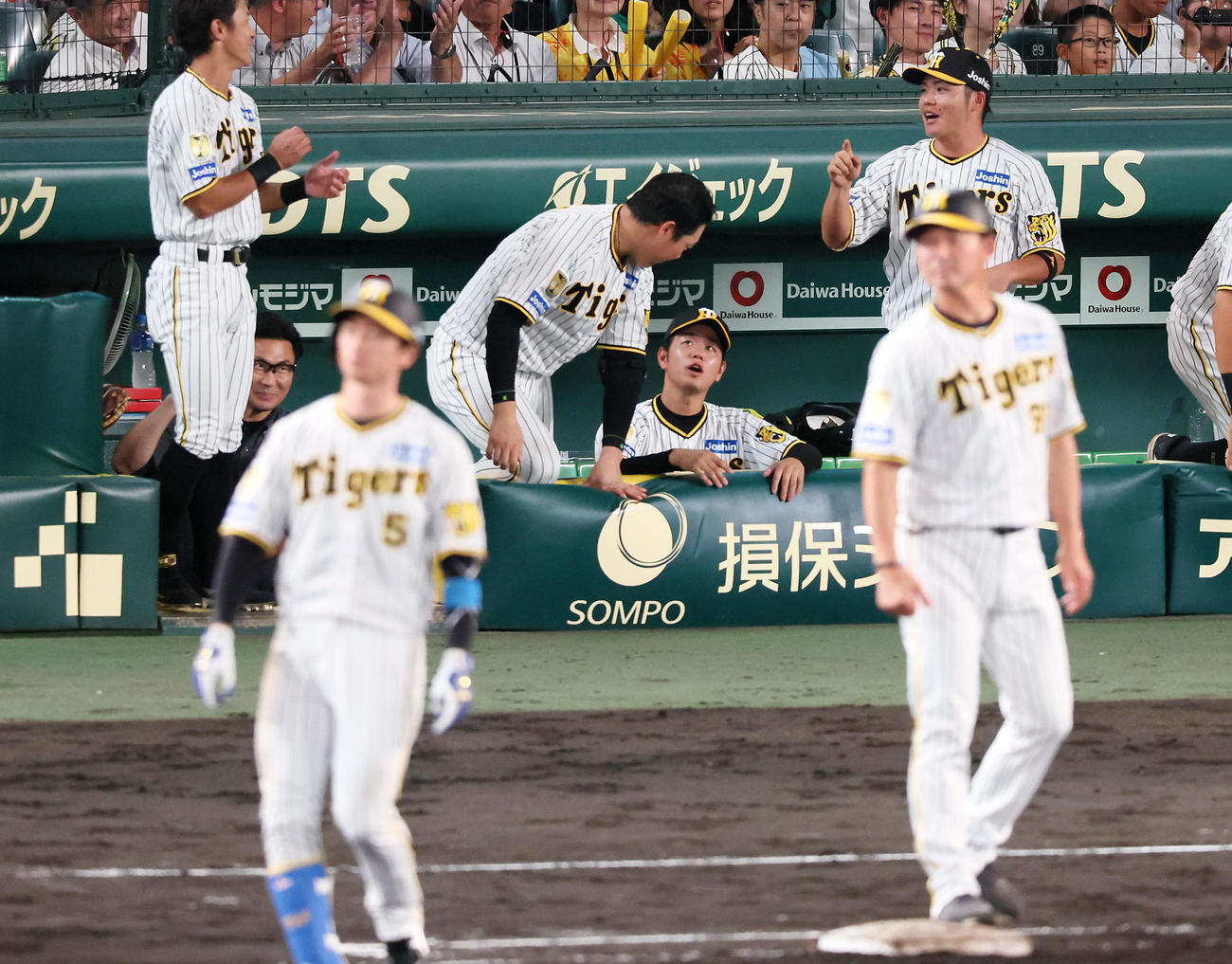 阪神対中日　7回裏阪神1死三塁、近本の右適時打をベンチから見る高橋（撮影・加藤哉）