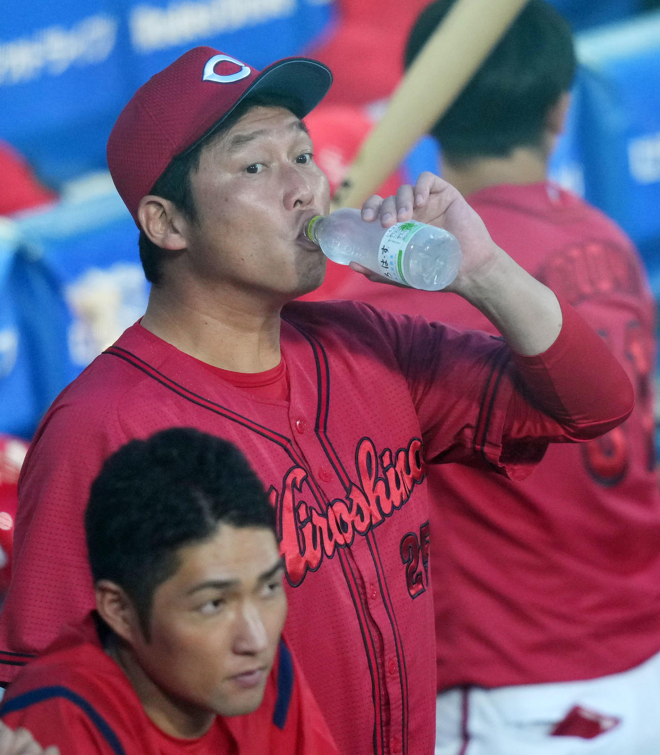 DeNA対広島　ベンチで水分補給をする広島新井（撮影・横山健太）